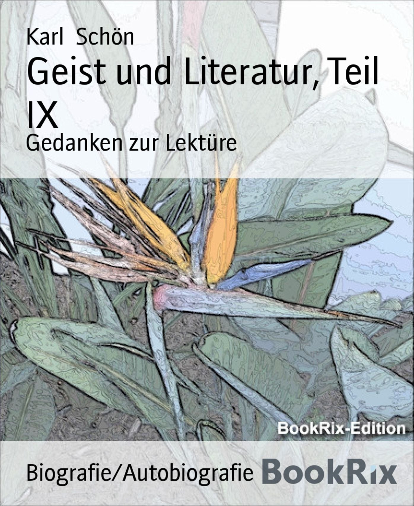 Geist und Literatur, Teil IX: Gedanken zur Lektüre