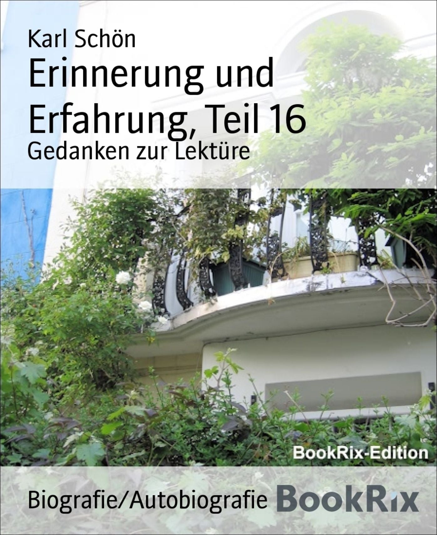 Erinnerung und Erfahrung, Teil 16: Gedanken zur Lektüre