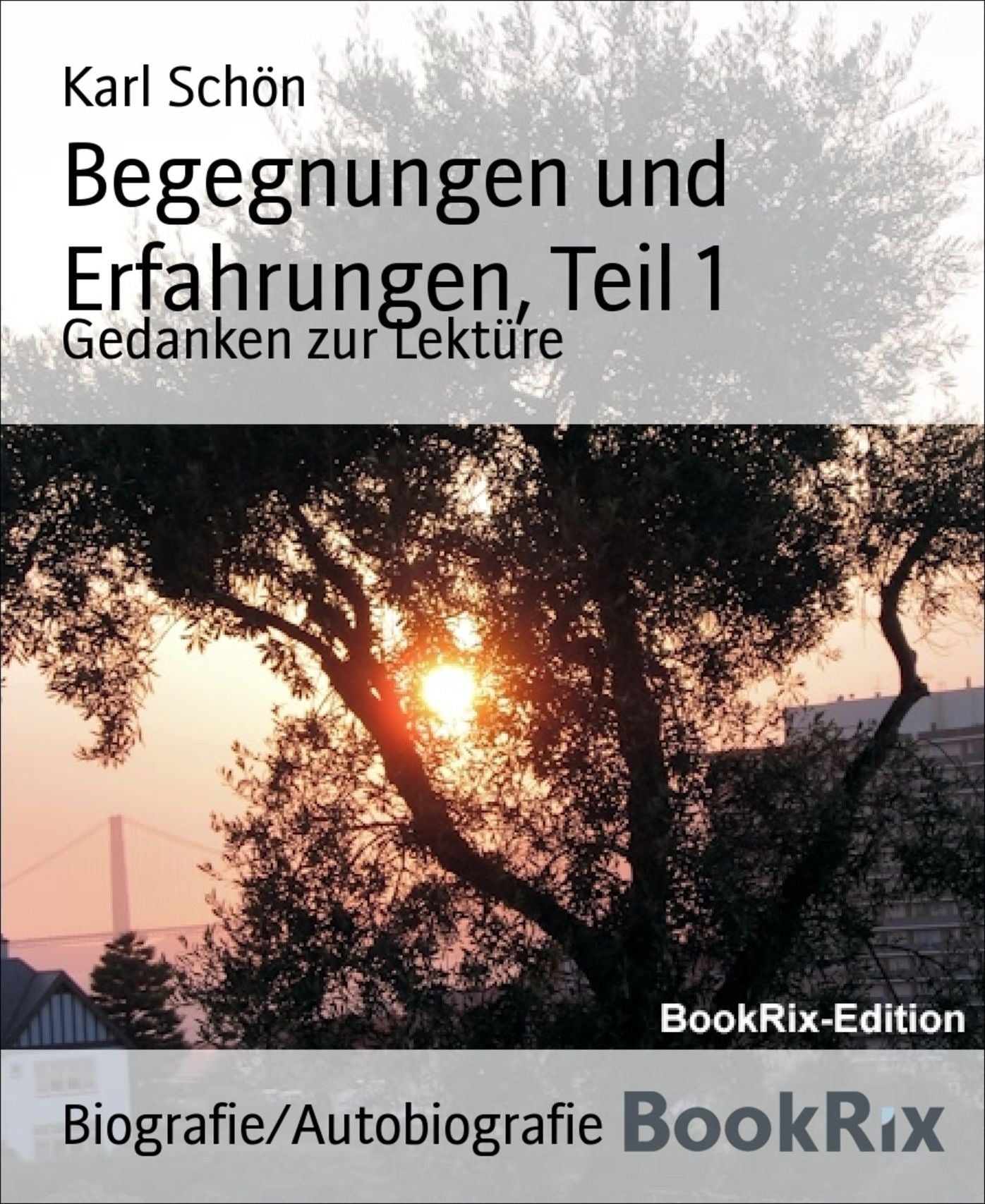 Begegnungen und Erfahrungen, Teil 1: Gedanken zur Lektüre