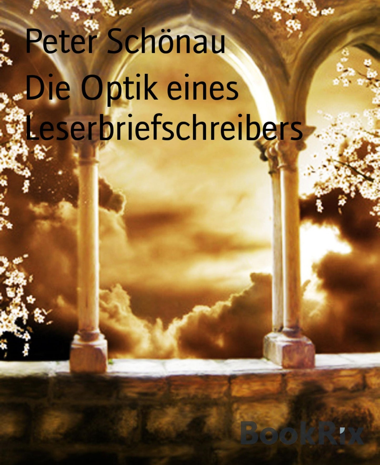 Die Optik eines Leserbriefschreibers: MEINE LESERBRIEFE - EINE POLITISCH KORREKTE UND INKORREKTE AUSWAHL
