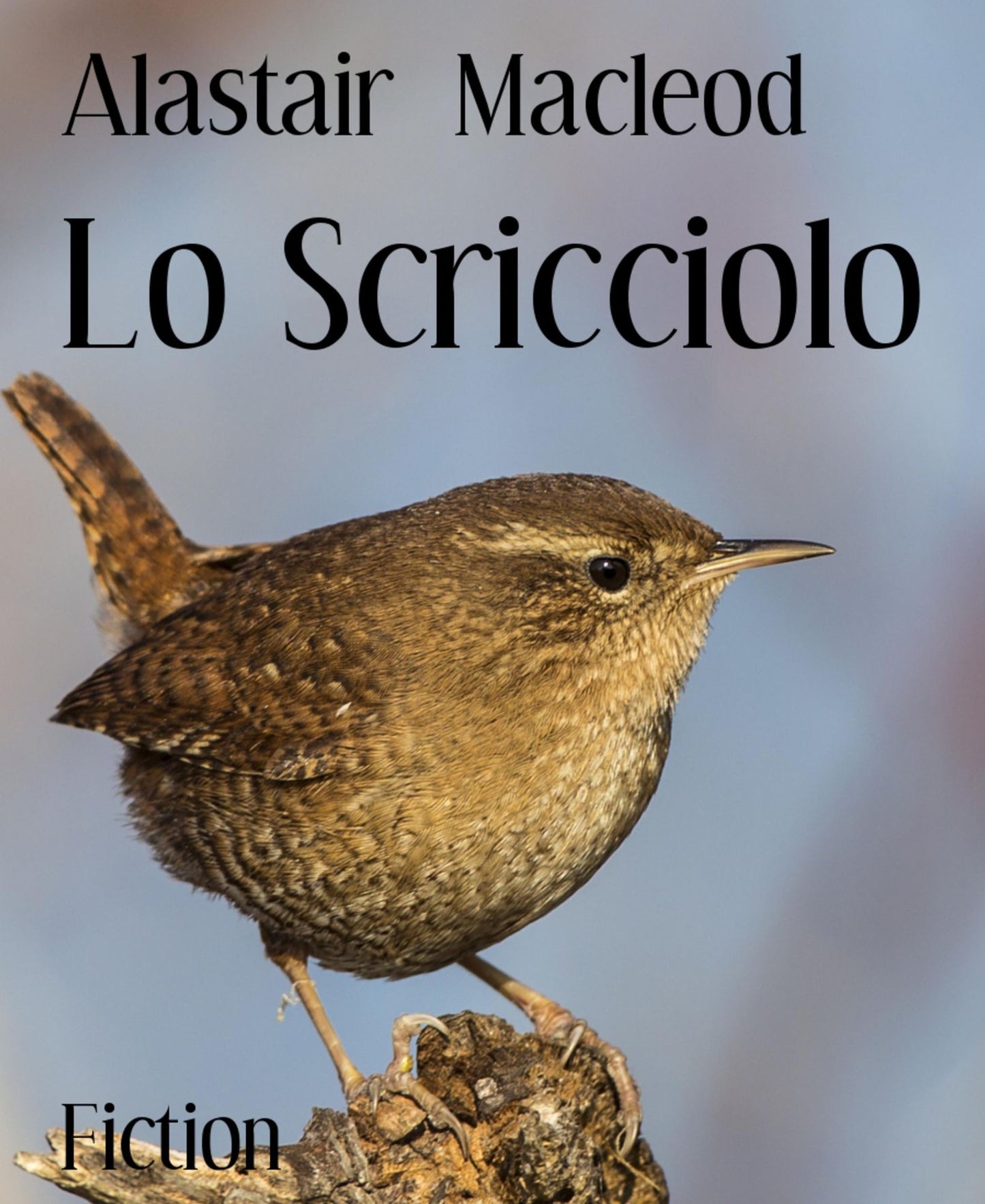 Lo Scricciolo
