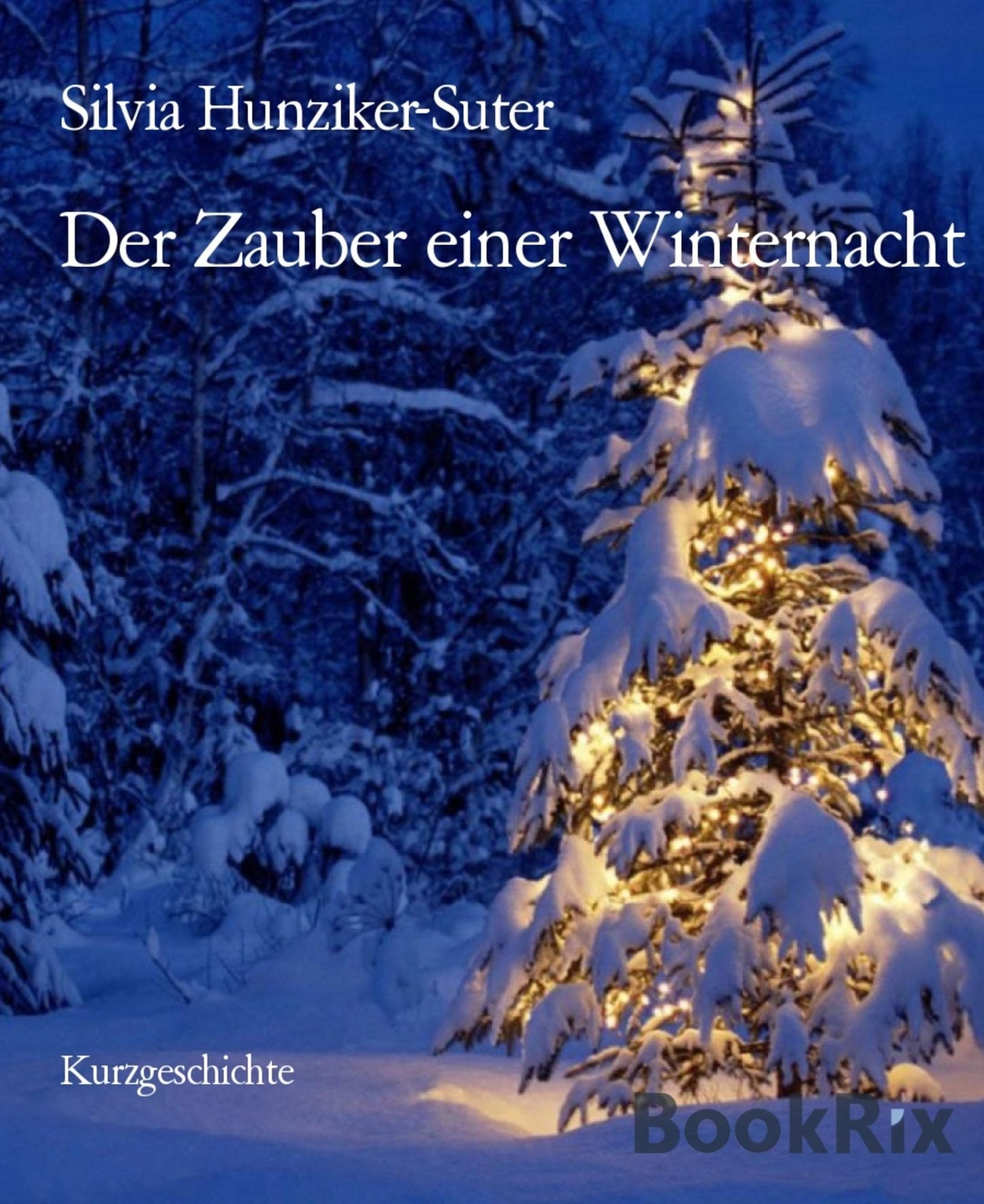 Der Zauber einer Winternacht