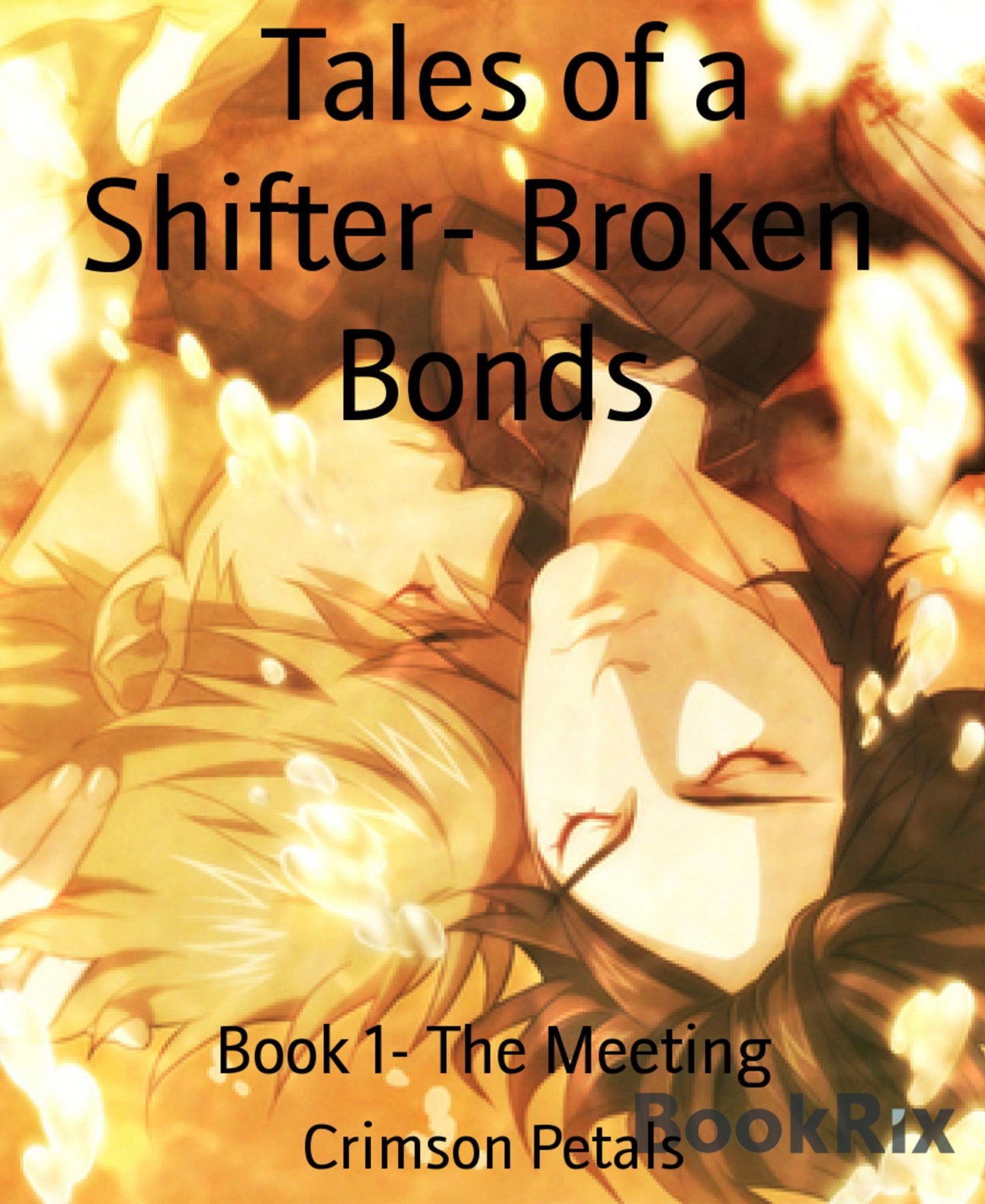 Tales of a Shifter- Broken Bonds: Book 1- The Meeting