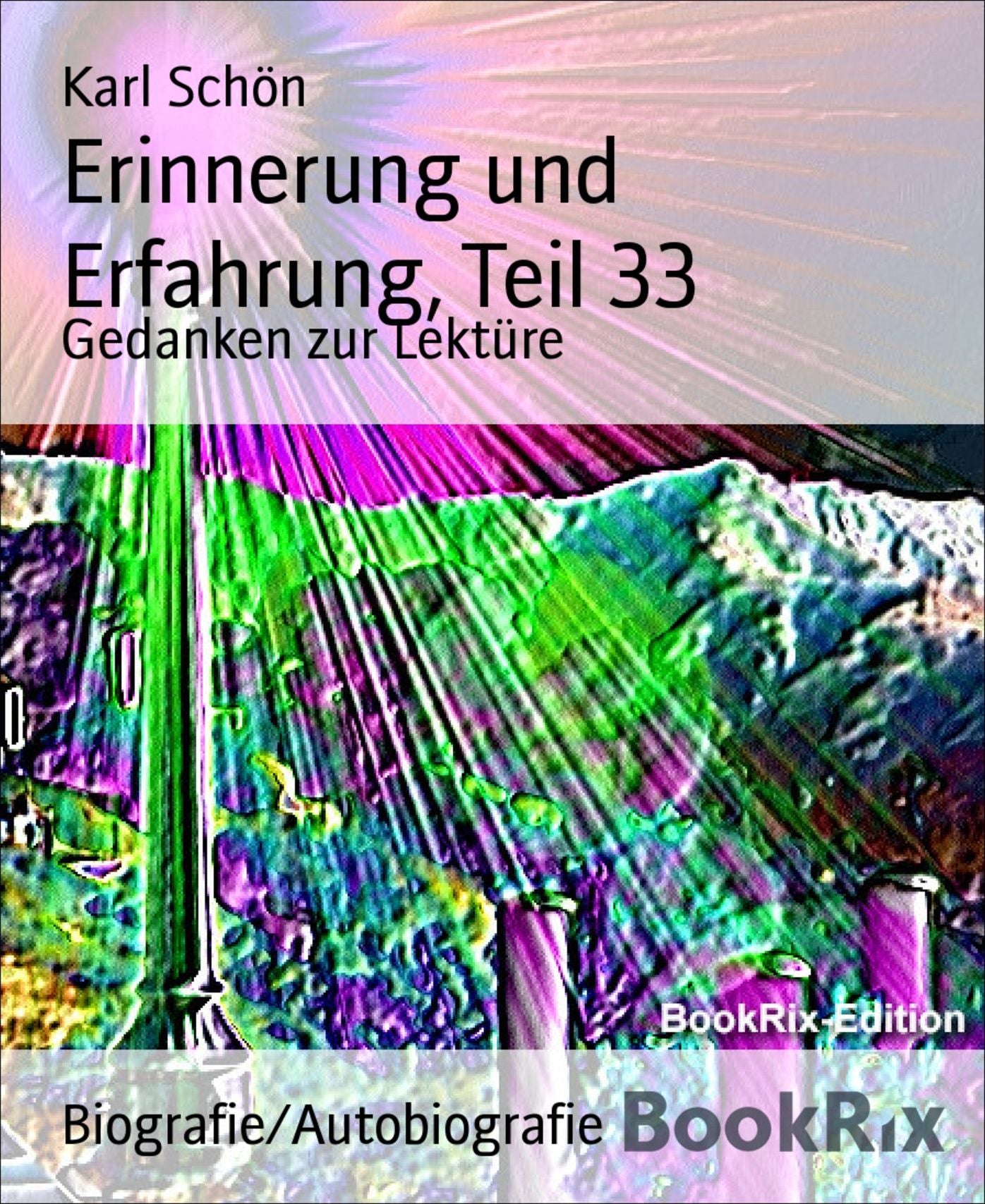 Erinnerung und Erfahrung, Teil 33: Gedanken zur Lektüre