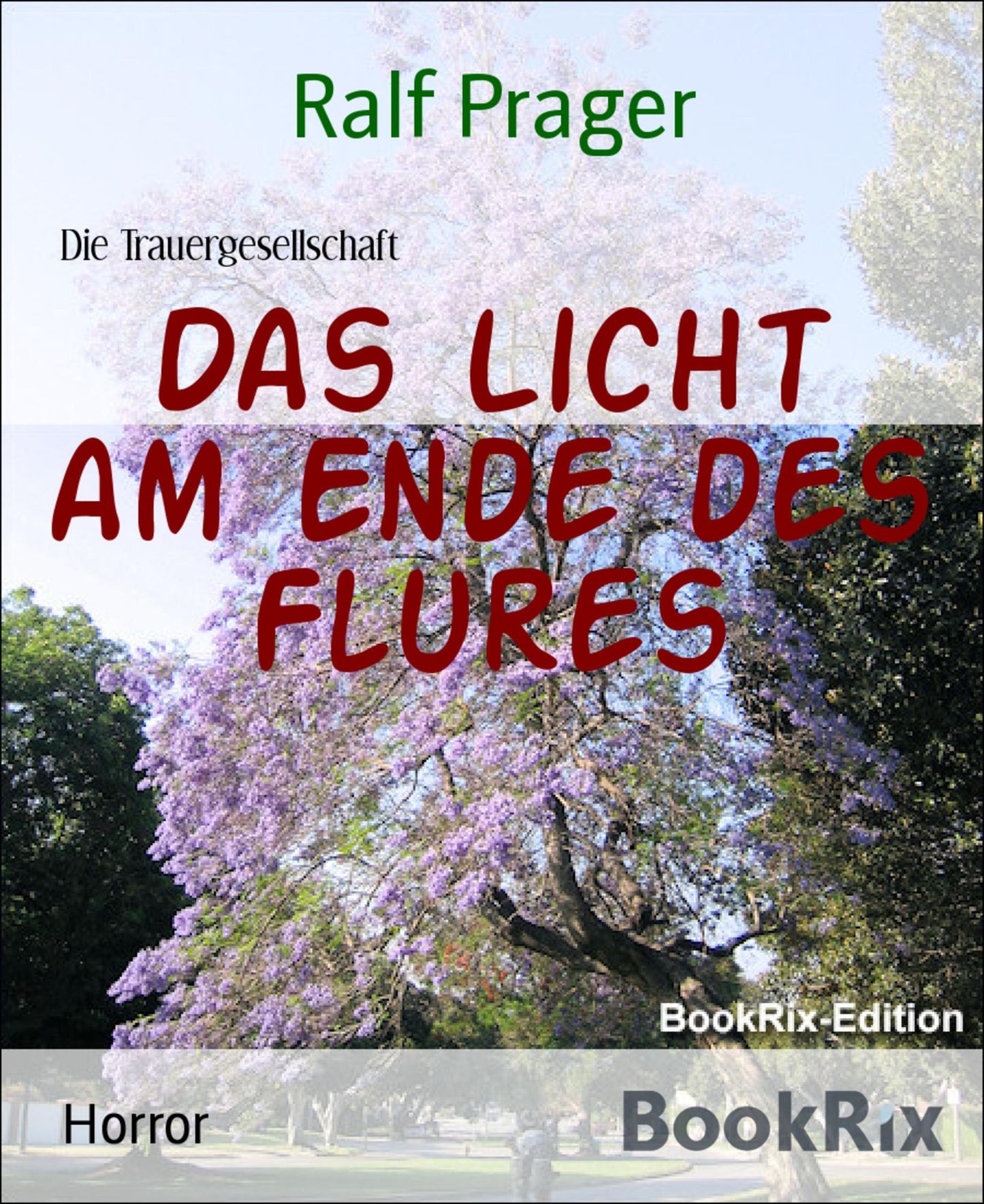 Das Licht am Ende des Flures: Die Trauergesellschaft