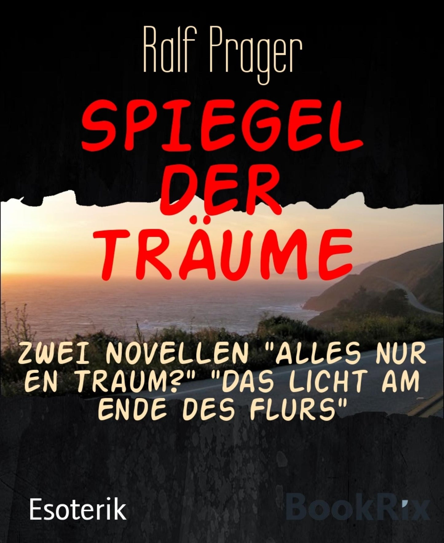 SPIEGEL DER TRÄUME: ZWEI NOVELLEN "Alles nur en Traum?" "Das Licht am Ende des Flurs