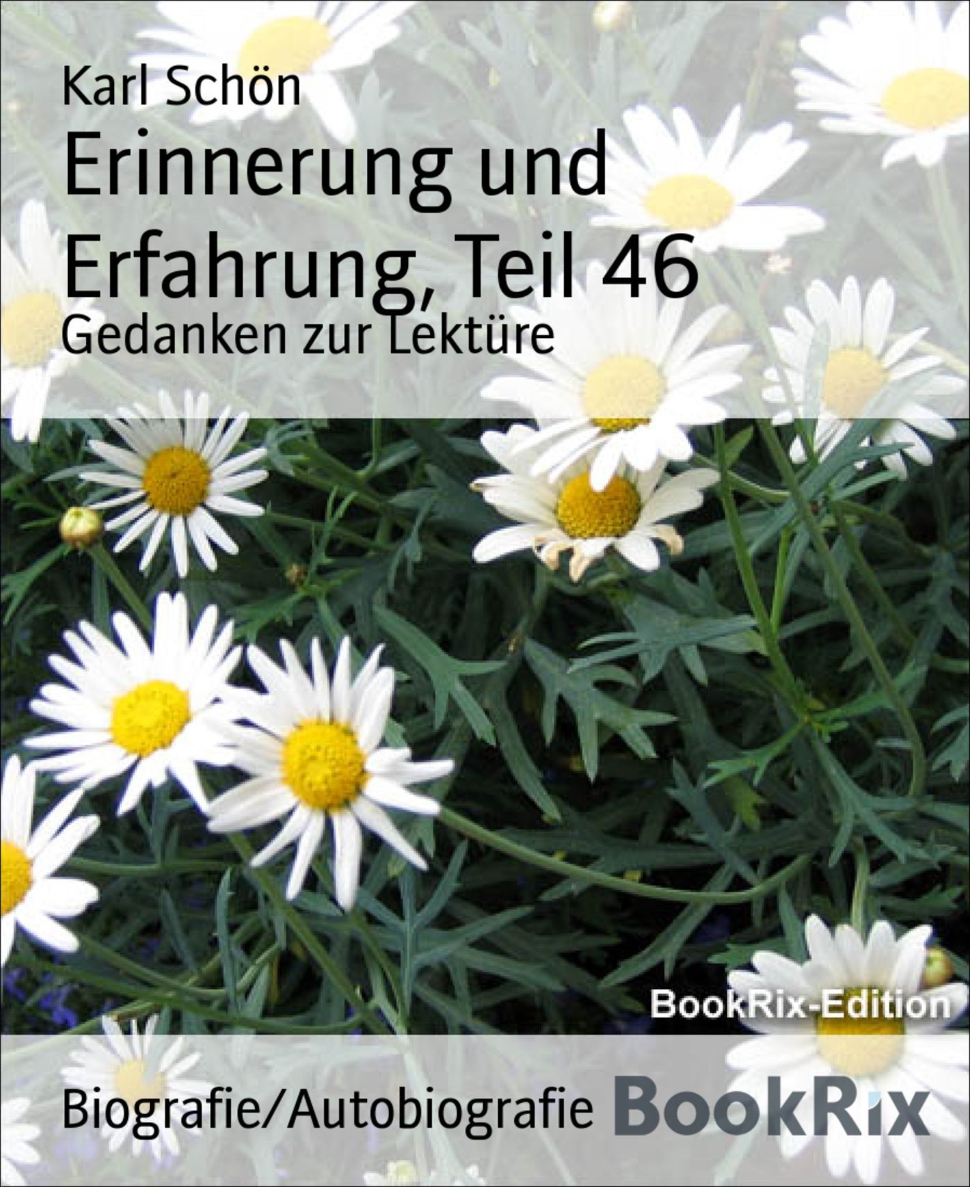 Erinnerung und Erfahrung, Teil 46: Gedanken zur Lektüre
