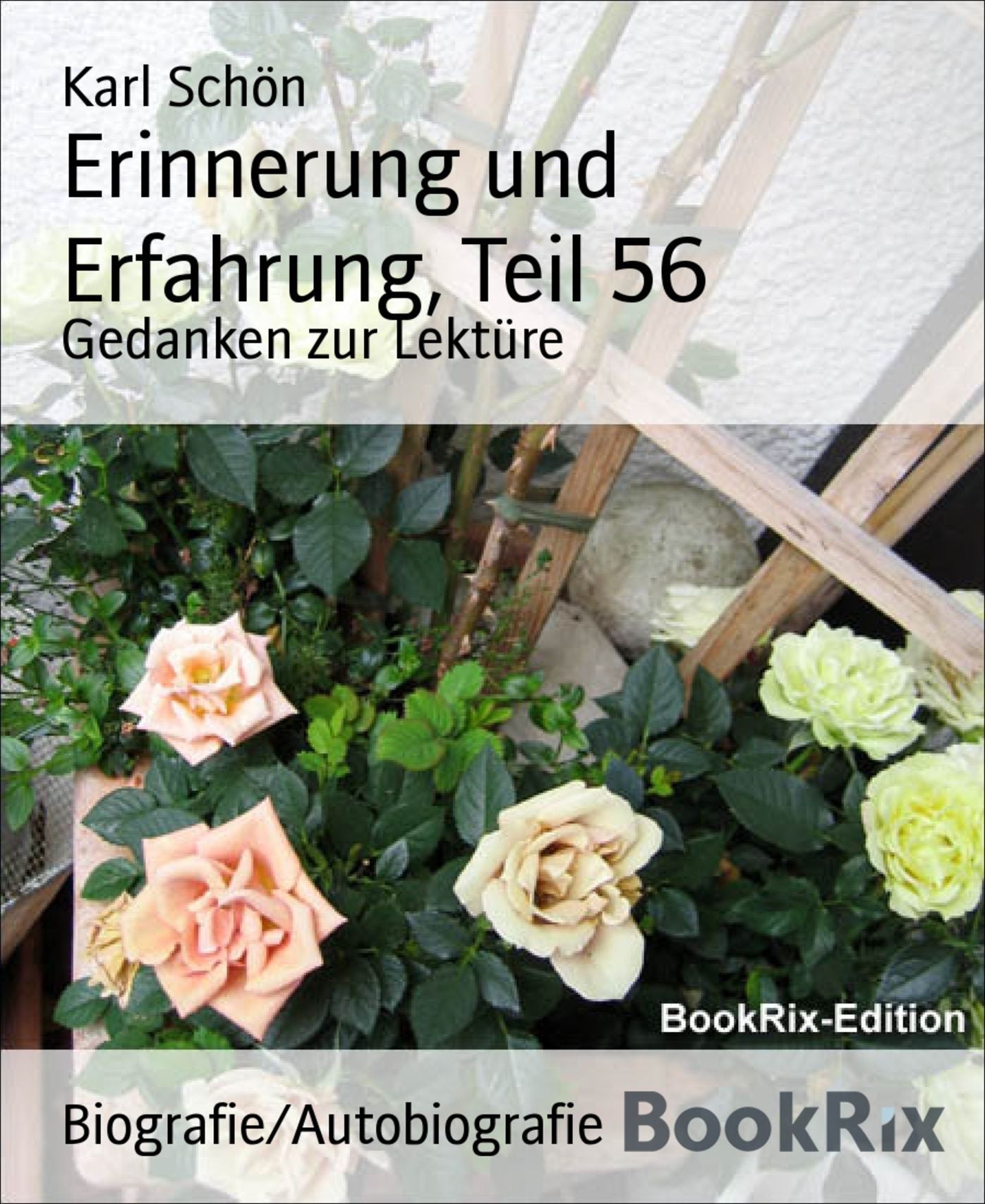 Erinnerung und Erfahrung, Teil 56: Gedanken zur Lektüre