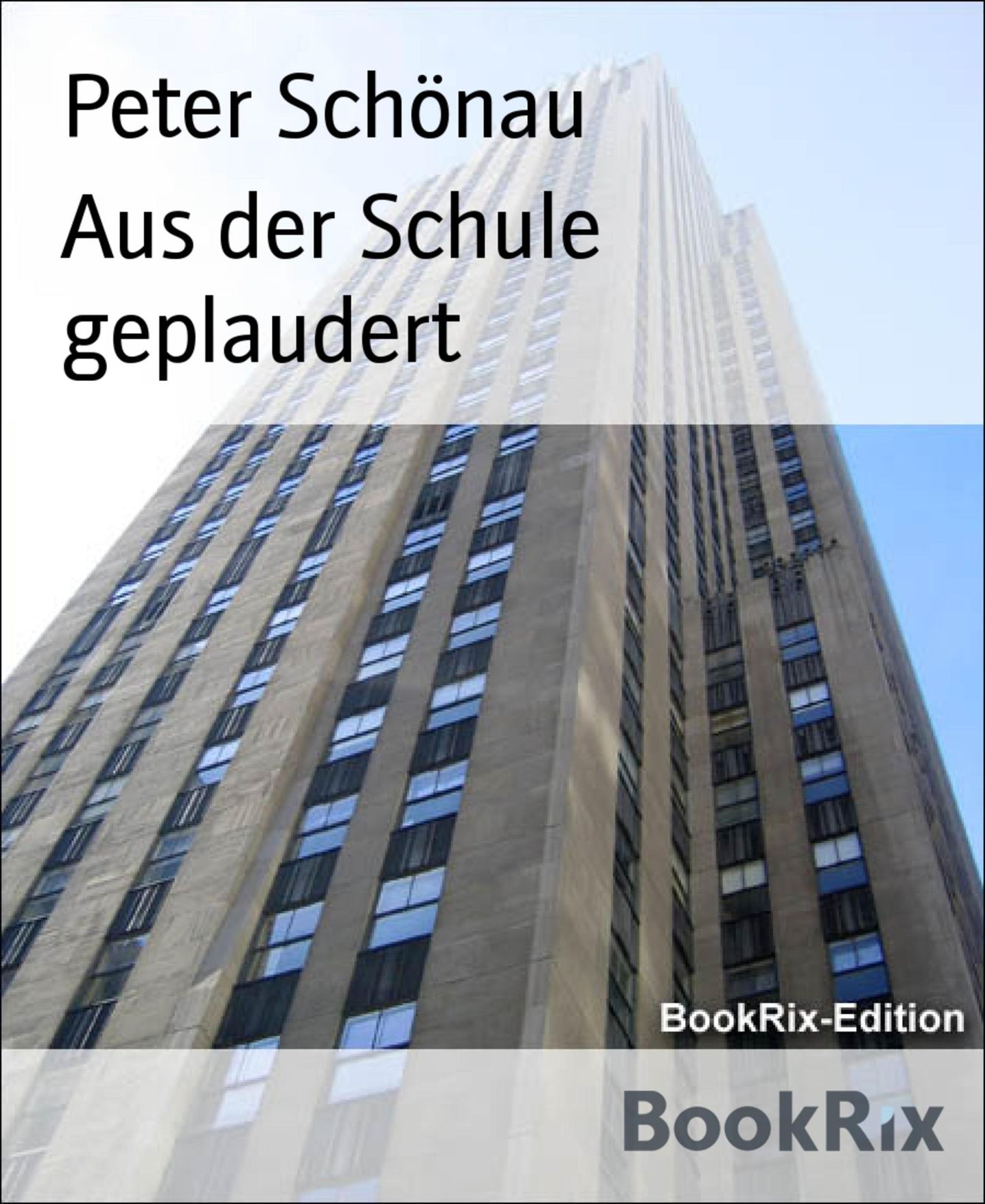 Aus der Schule geplaudert: Amüsante und weniger amüsante Begebenheiten aus der Zusammenarbeit mit internationalen und deutschen Großunternehmen und