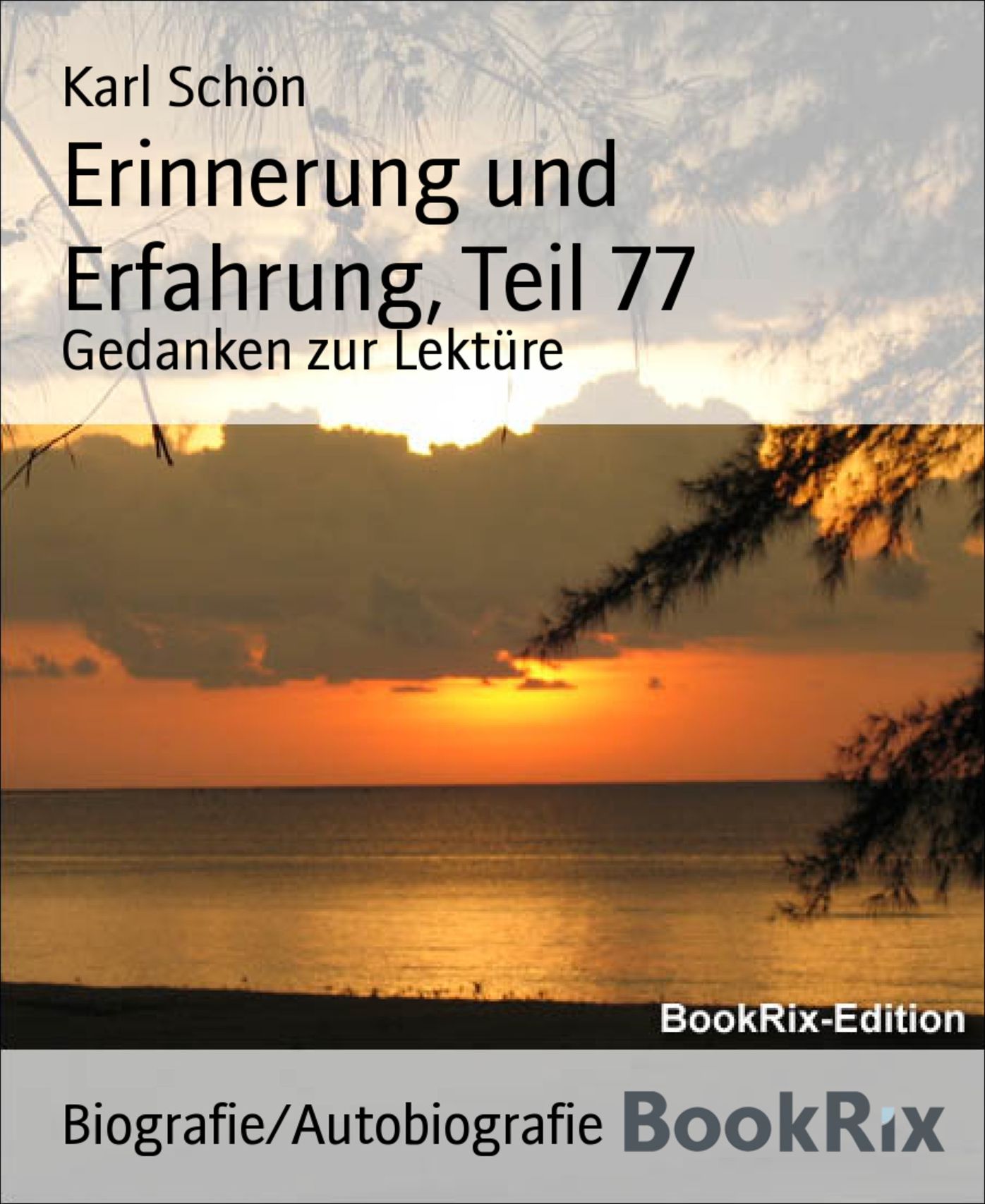 Erinnerung und Erfahrung, Teil 77: Gedanken zur Lektüre