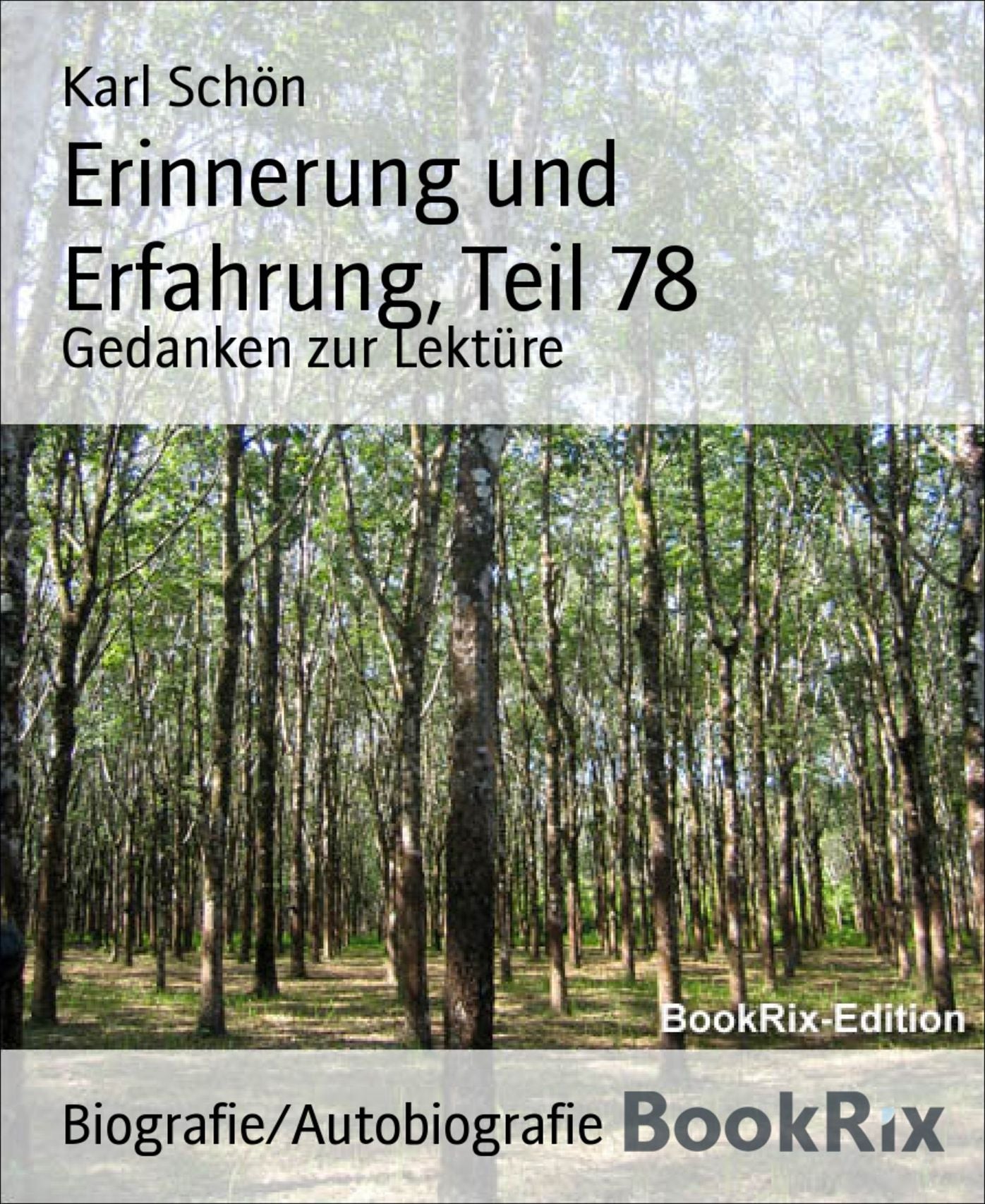 Erinnerung und Erfahrung, Teil 78: Gedanken zur Lektüre