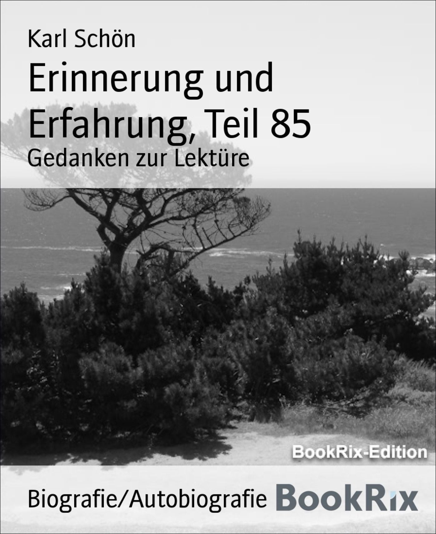 Erinnerung und Erfahrung, Teil 85: Gedanken zur Lektüre