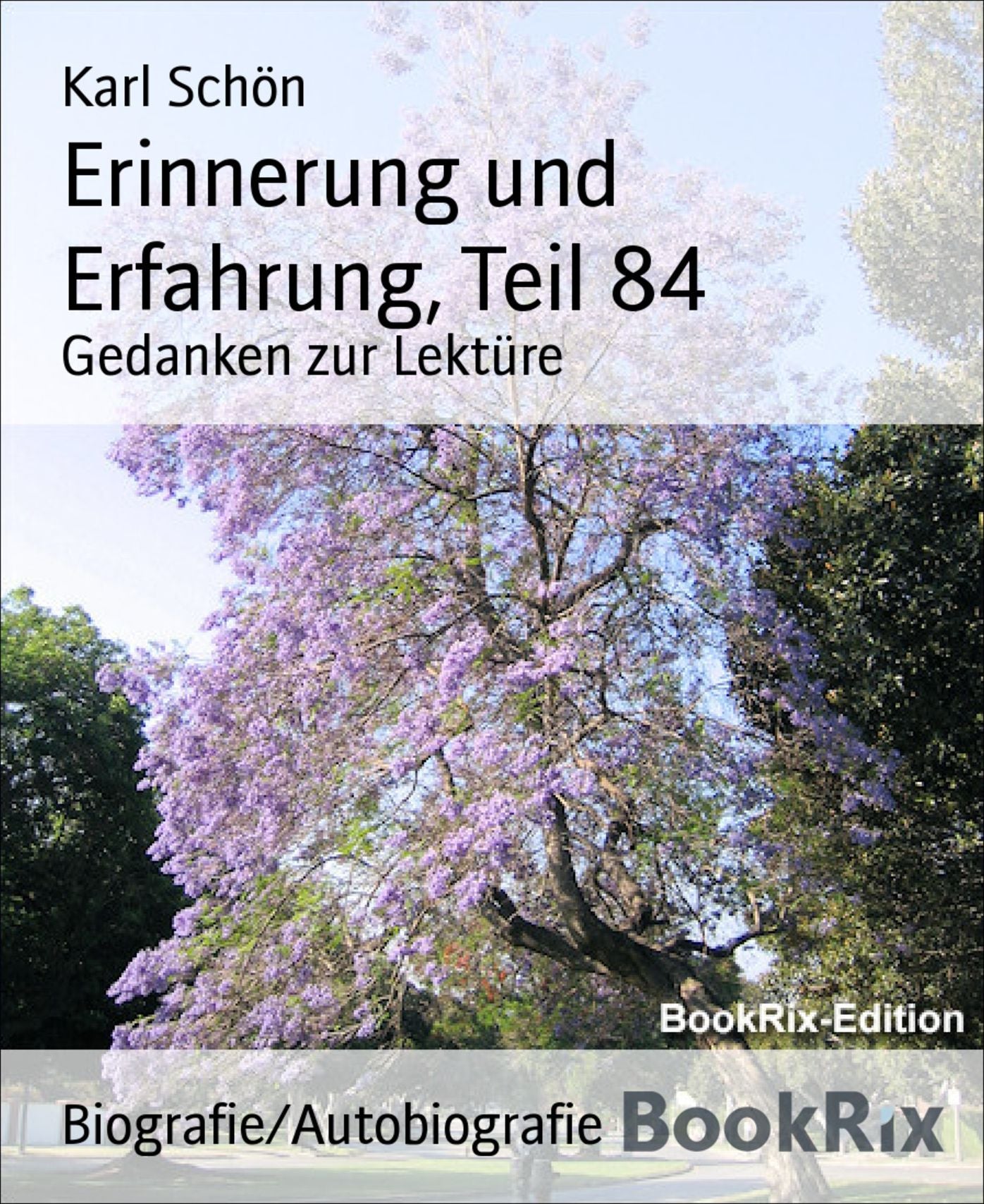 Erinnerung und Erfahrung, Teil 84: Gedanken zur Lektüre