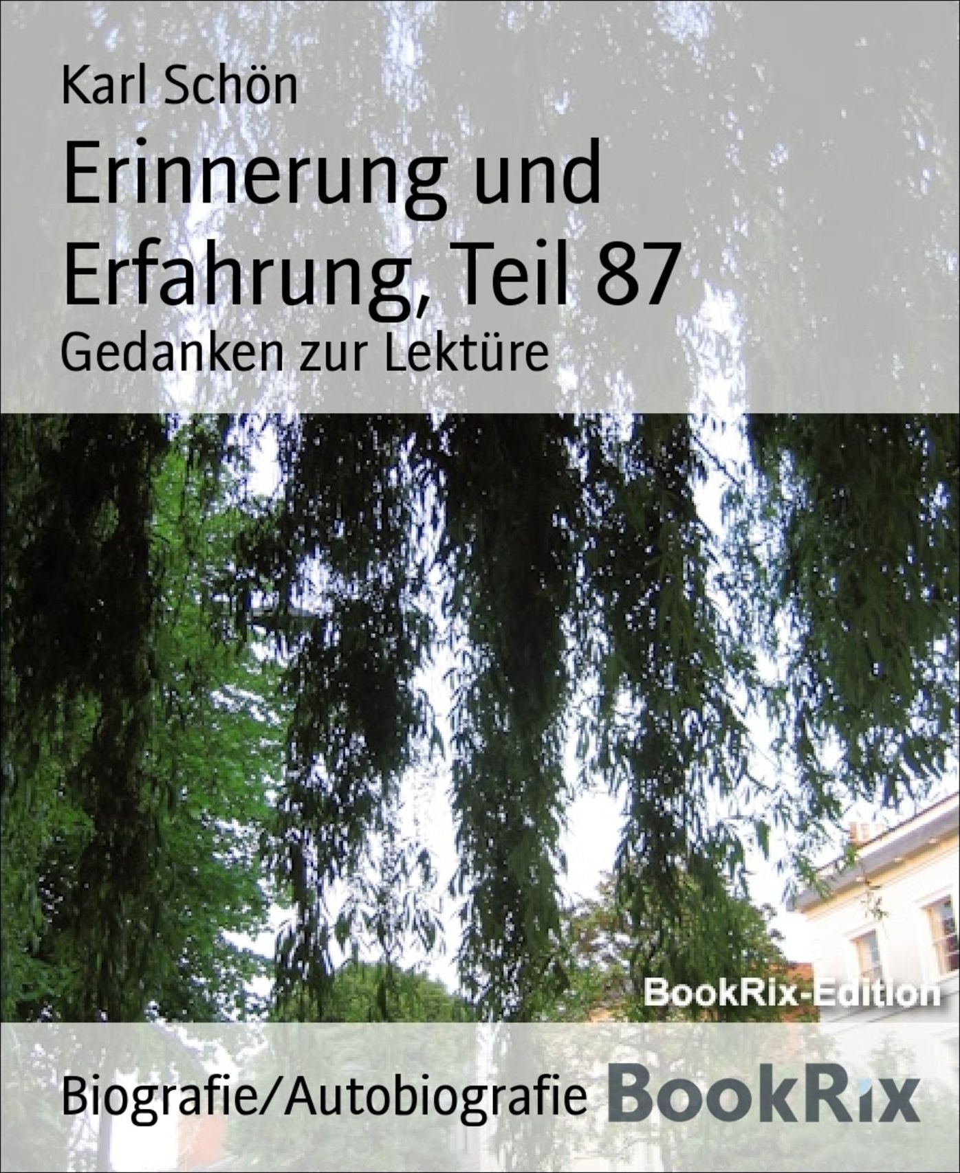 Erinnerung und Erfahrung, Teil 87: Gedanken zur Lektüre