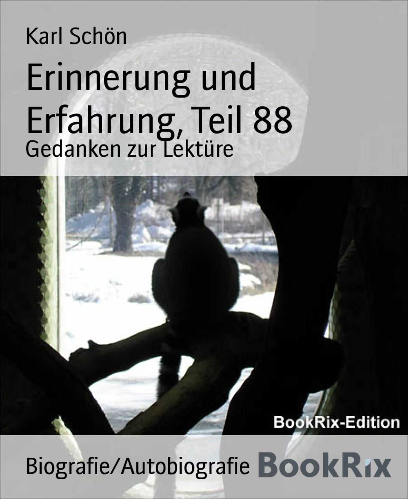 Erinnerung und Erfahrung, Teil 88: Gedanken zur Lektüre