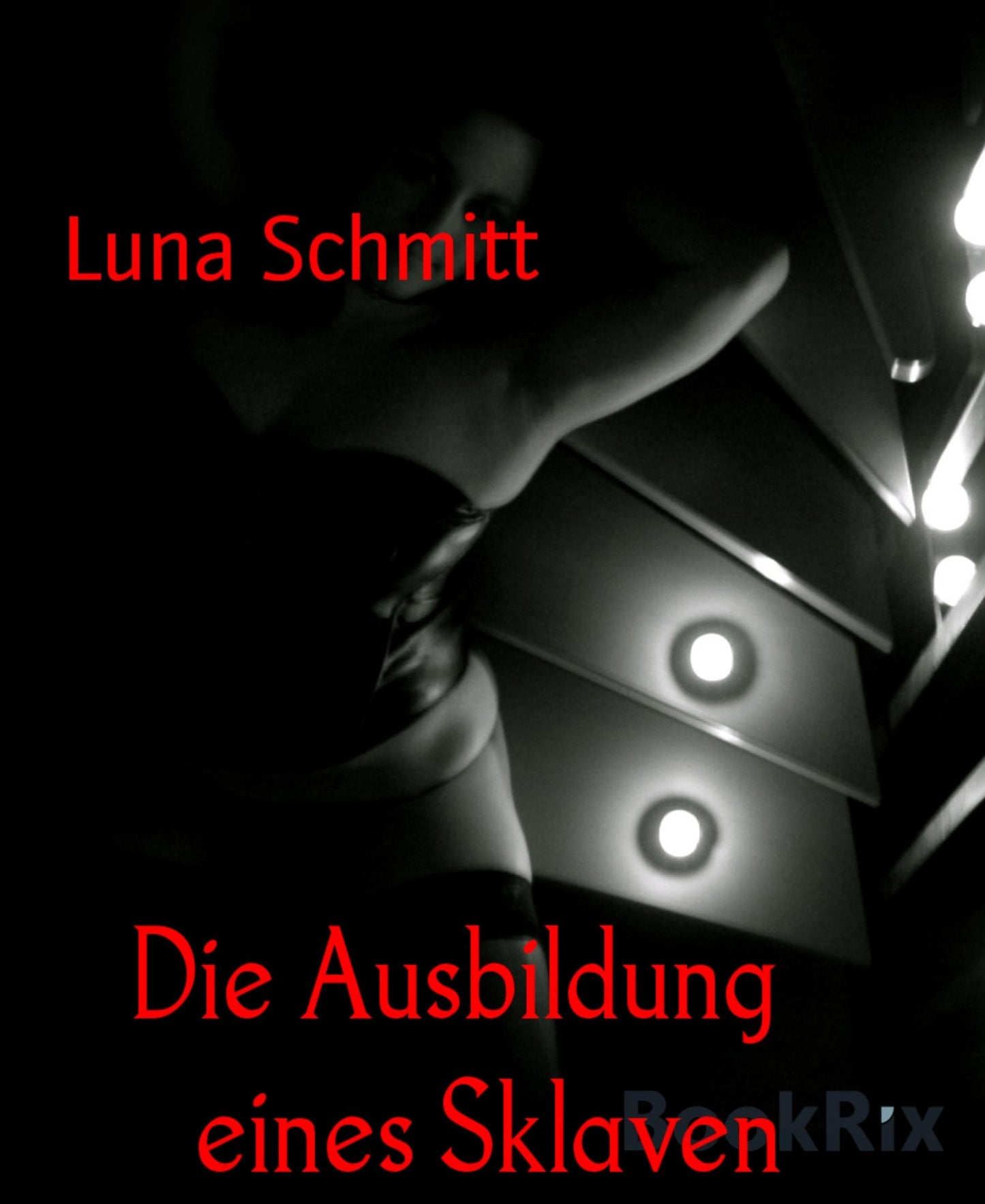 Die Ausbildung eines Sklaven: Tagebuch einer Domina Teil 1