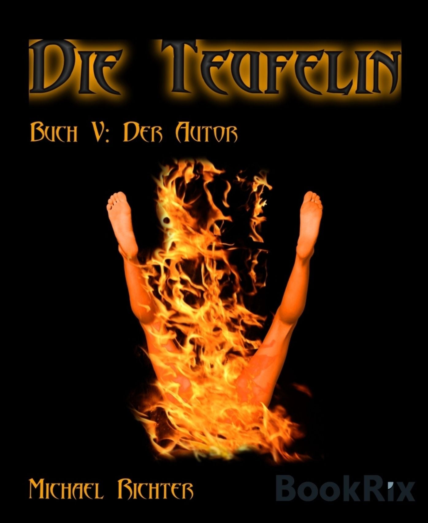 Die Teufelin 5: Der Autor