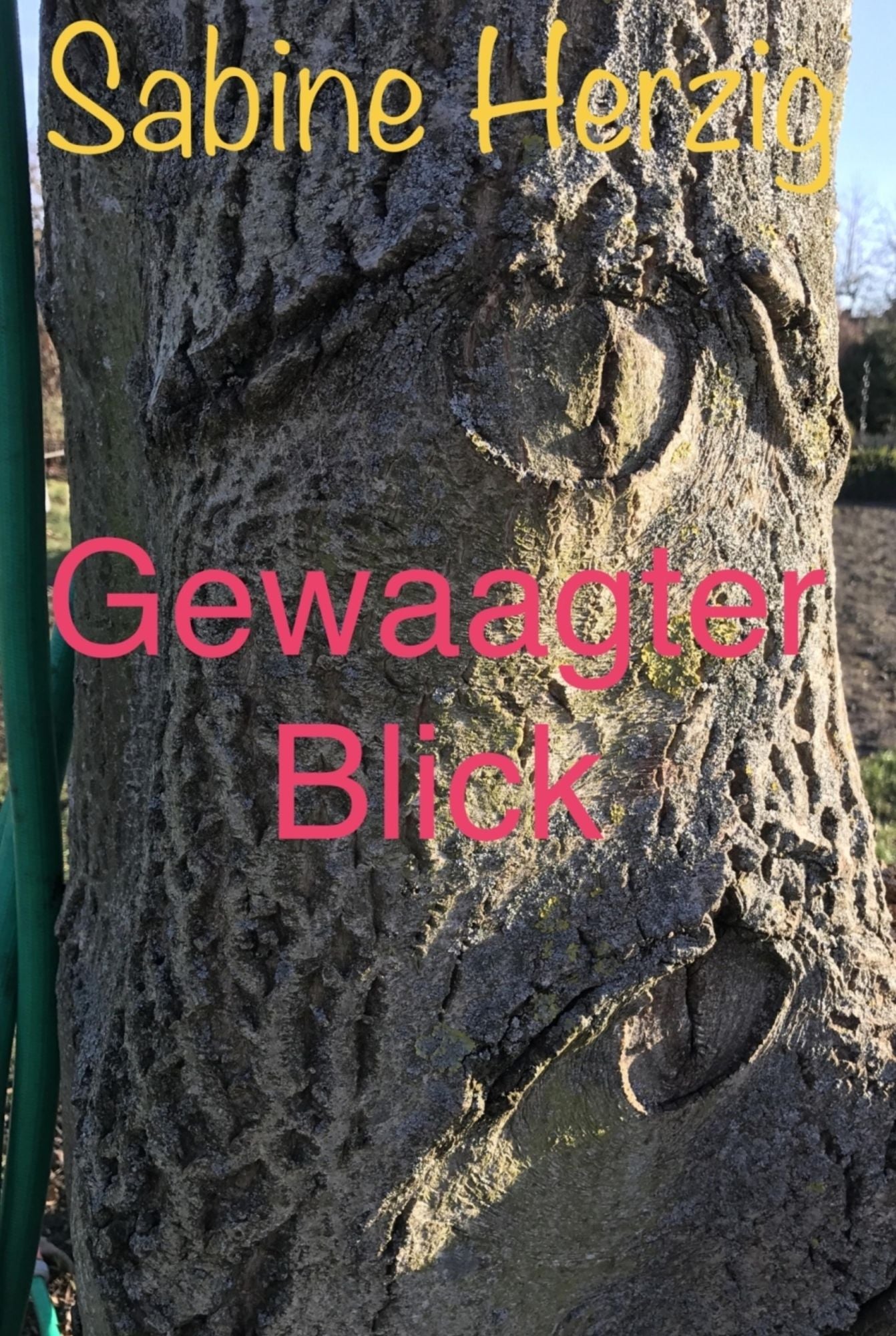Gewaagter Blick: Kurzgeschichten Band 10