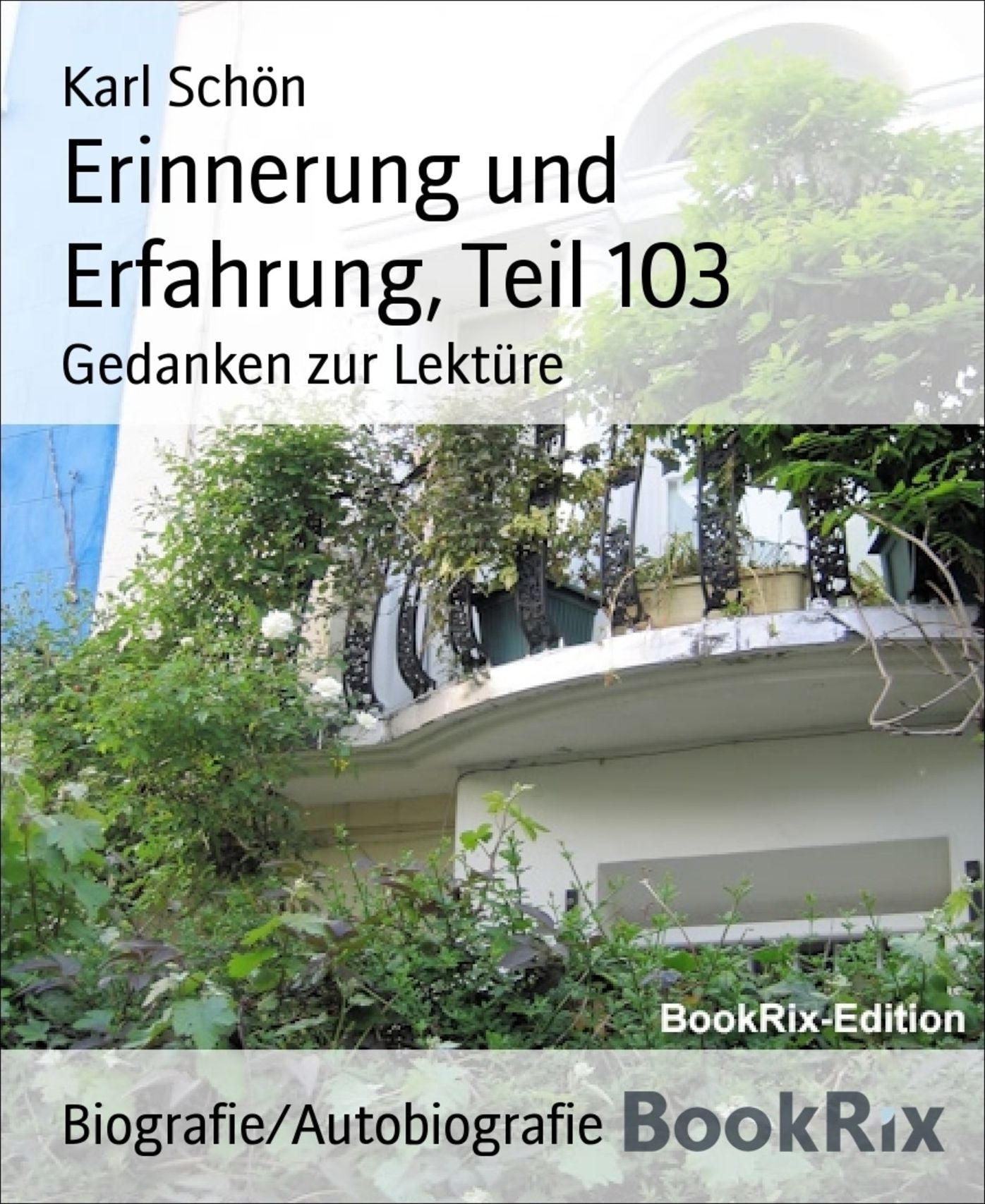 Erinnerung und Erfahrung, Teil 103: Gedanken zur Lektüre
