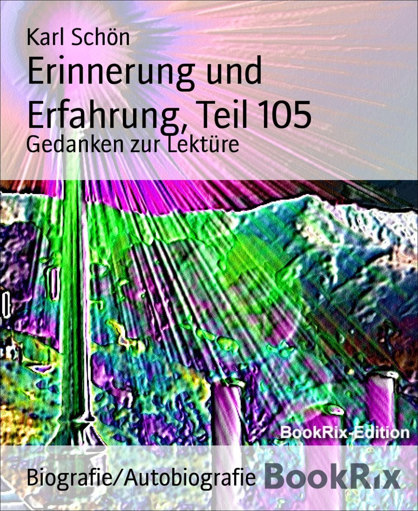 Erinnerung und Erfahrung, Teil 105: Gedanken zur Lektüre