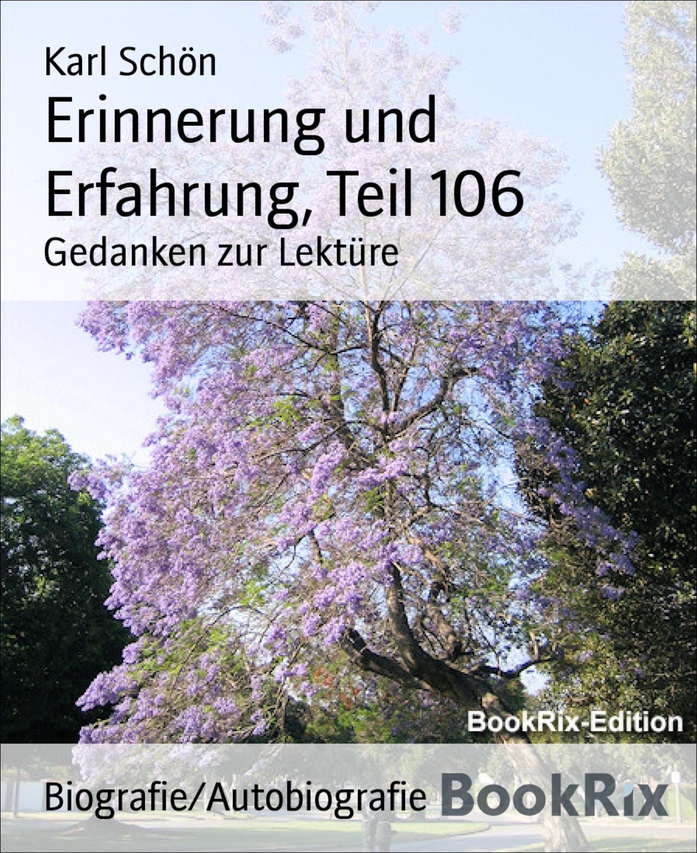 Erinnerung und Erfahrung, Teil 106: Gedanken zur Lektüre