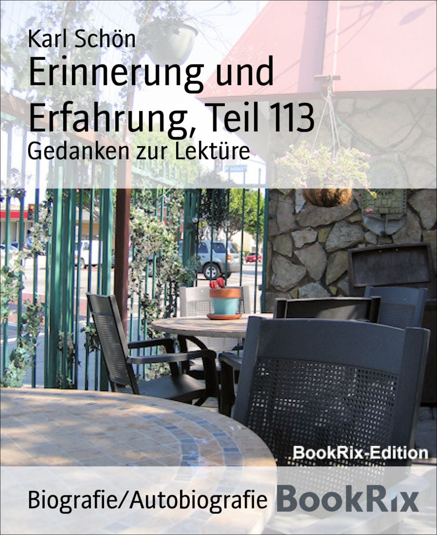 Erinnerung und Erfahrung, Teil 113: Gedanken zur Lektüre