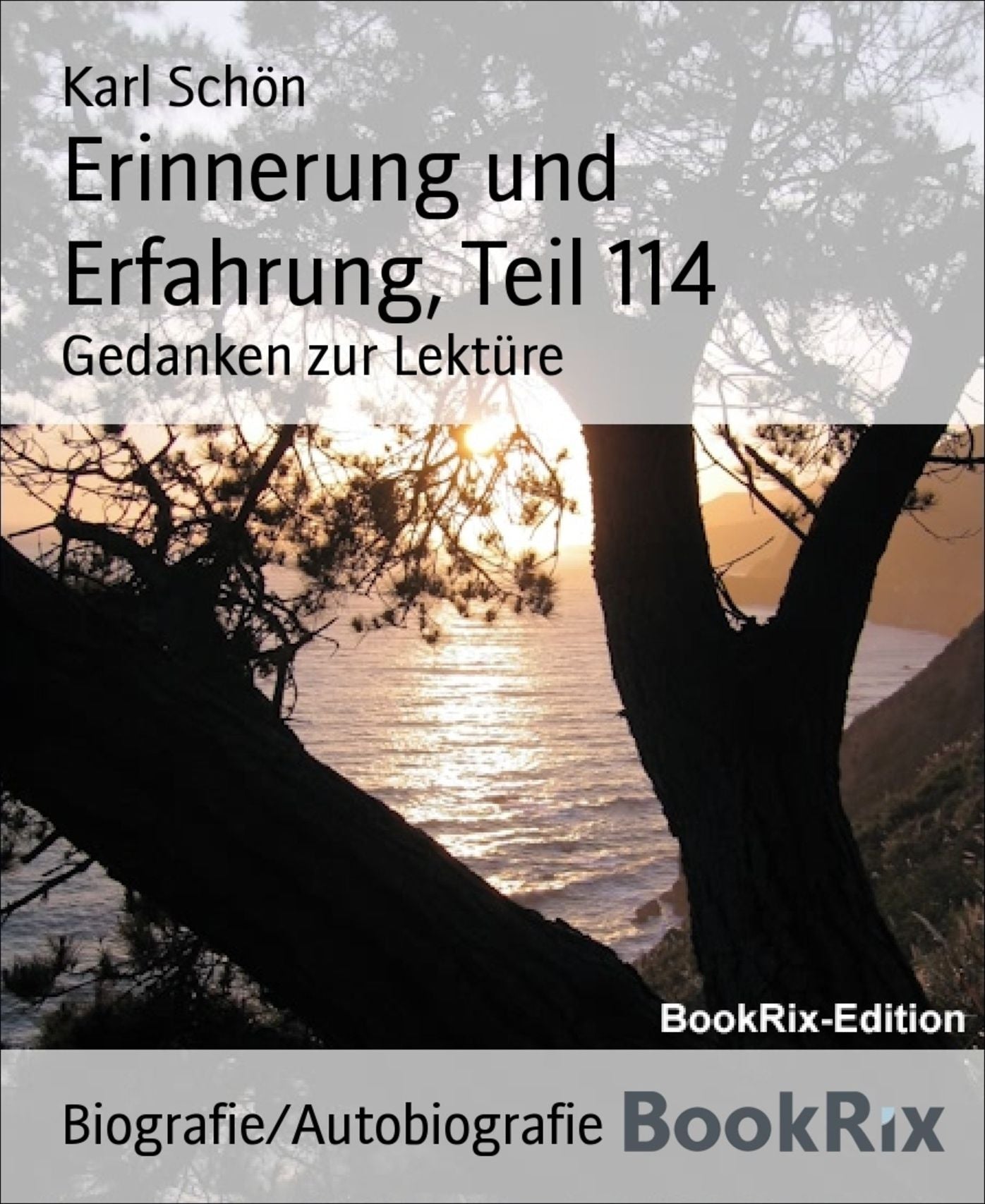 Erinnerung und Erfahrung, Teil 114: Gedanken zur Lektüre