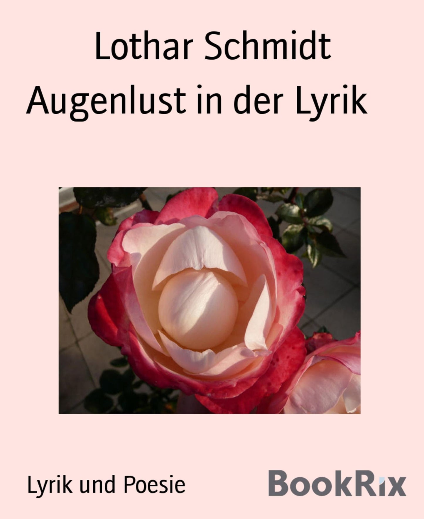 Augenlust in der Lyrik