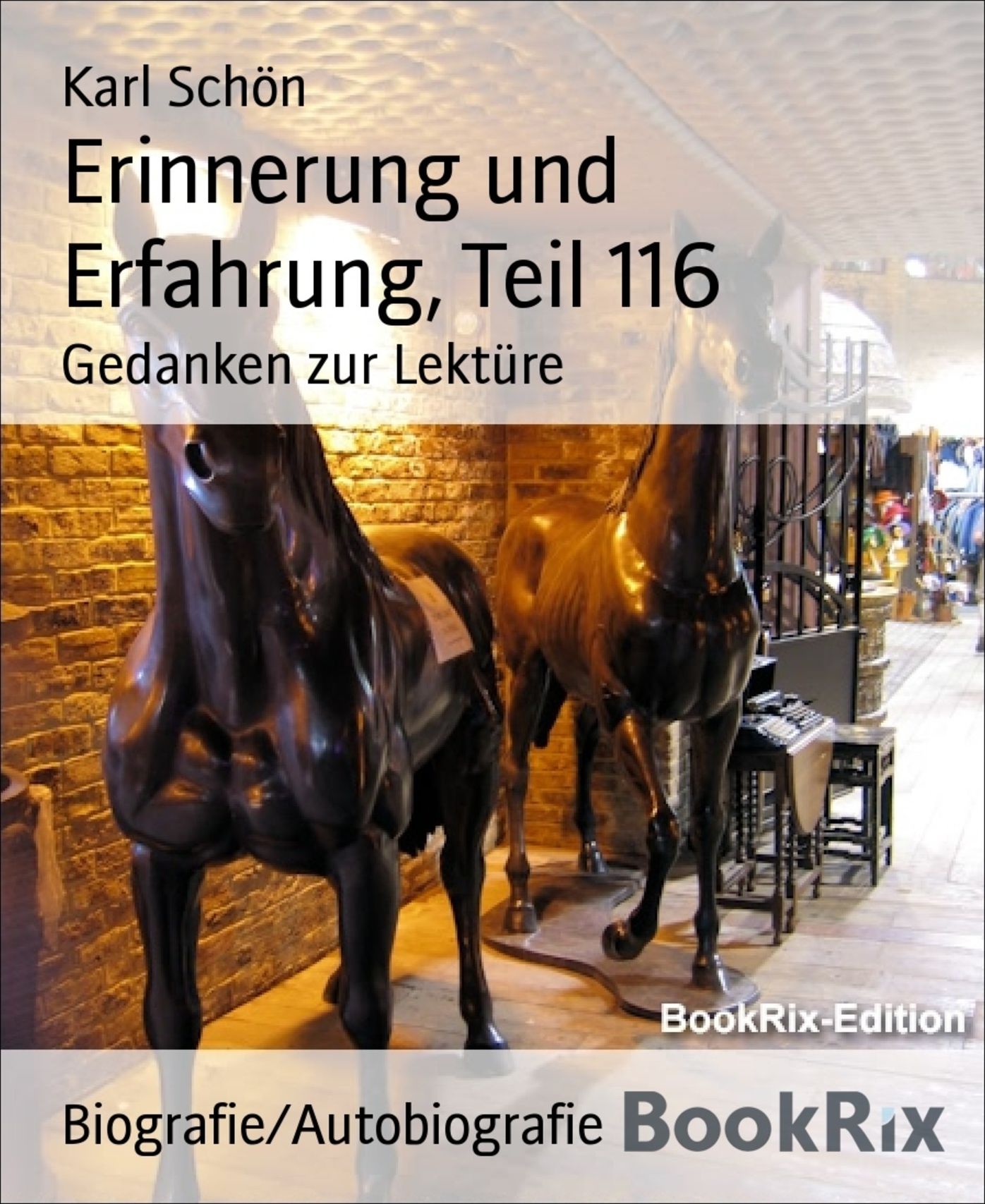 Erinnerung und Erfahrung, Teil 116: Gedanken zur Lektüre