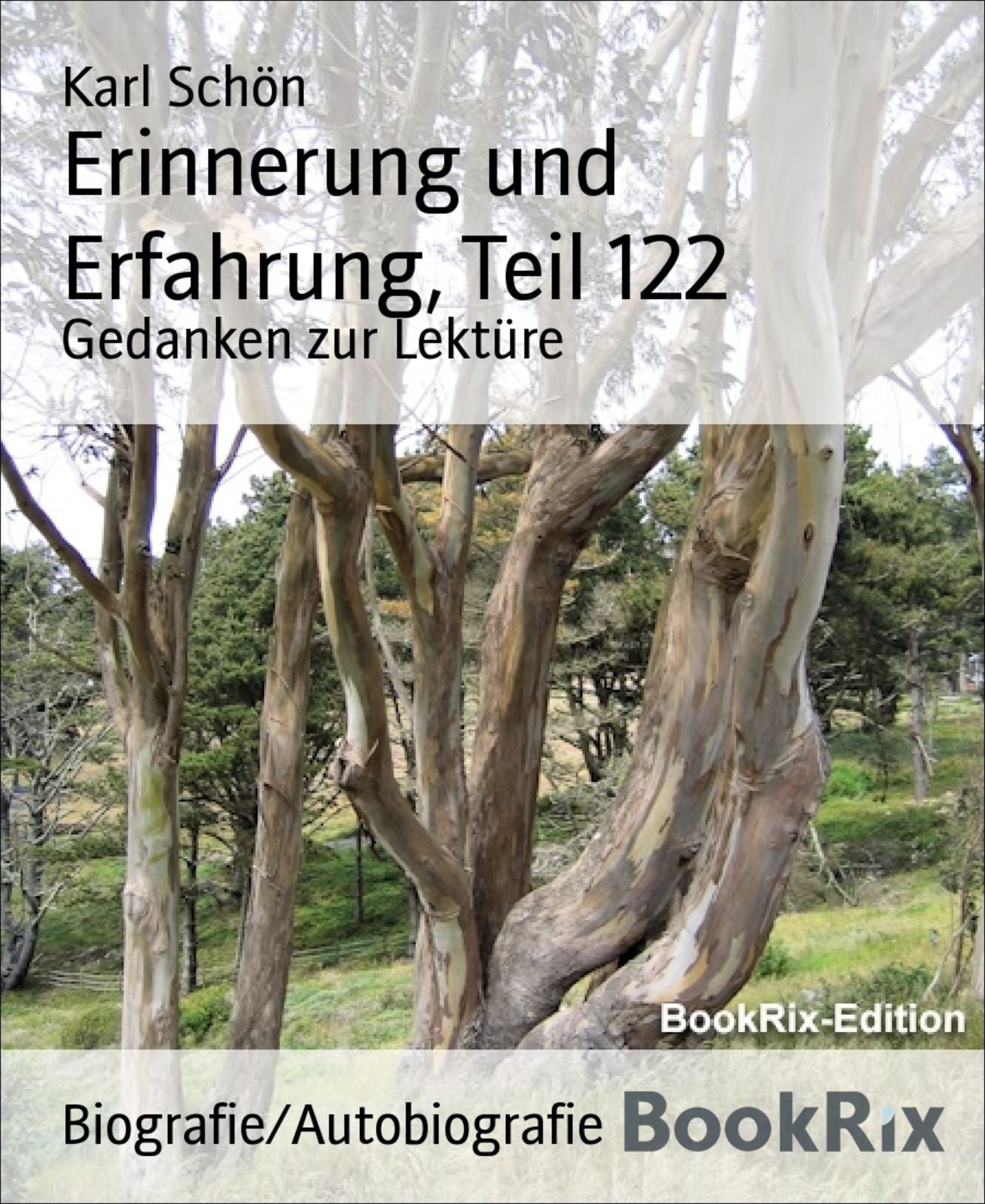 Erinnerung und Erfahrung, Teil 122: Gedanken zur Lektüre