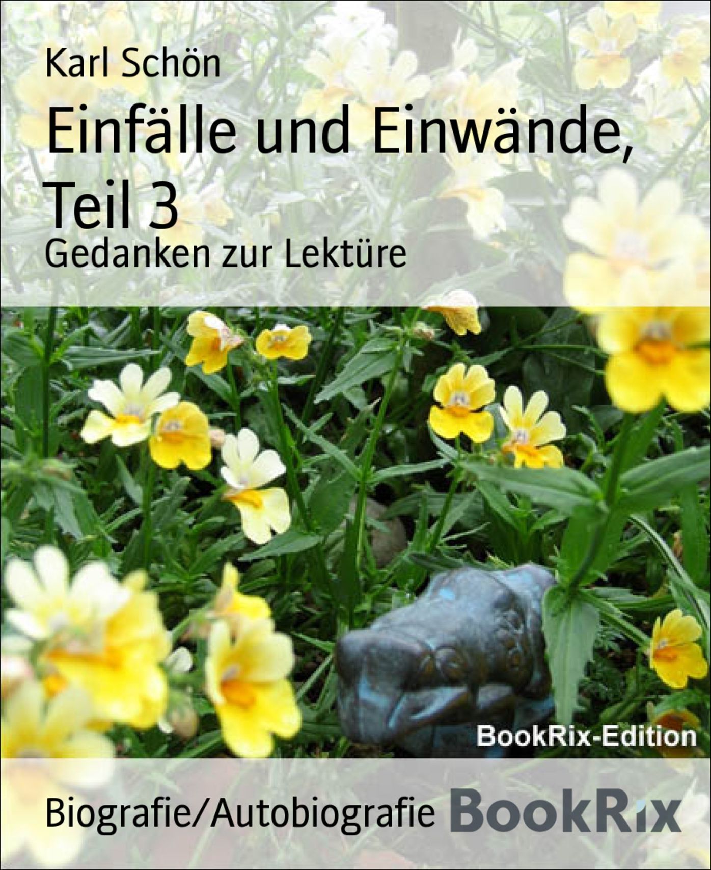 Einfälle und Einwände, Teil 3: Gedanken zur Lektüre