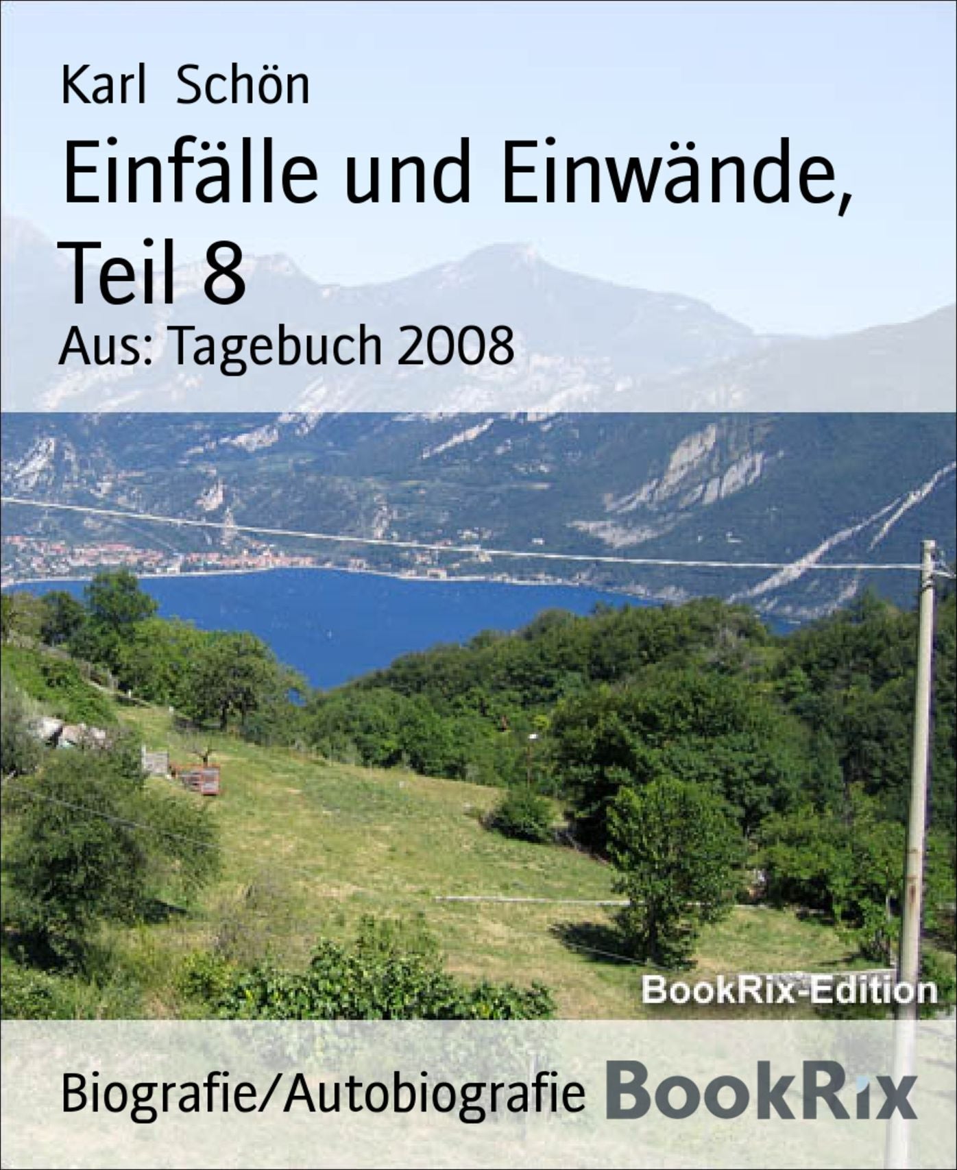 Einfälle und Einwände, Teil 8: Aus: Tagebuch 2008