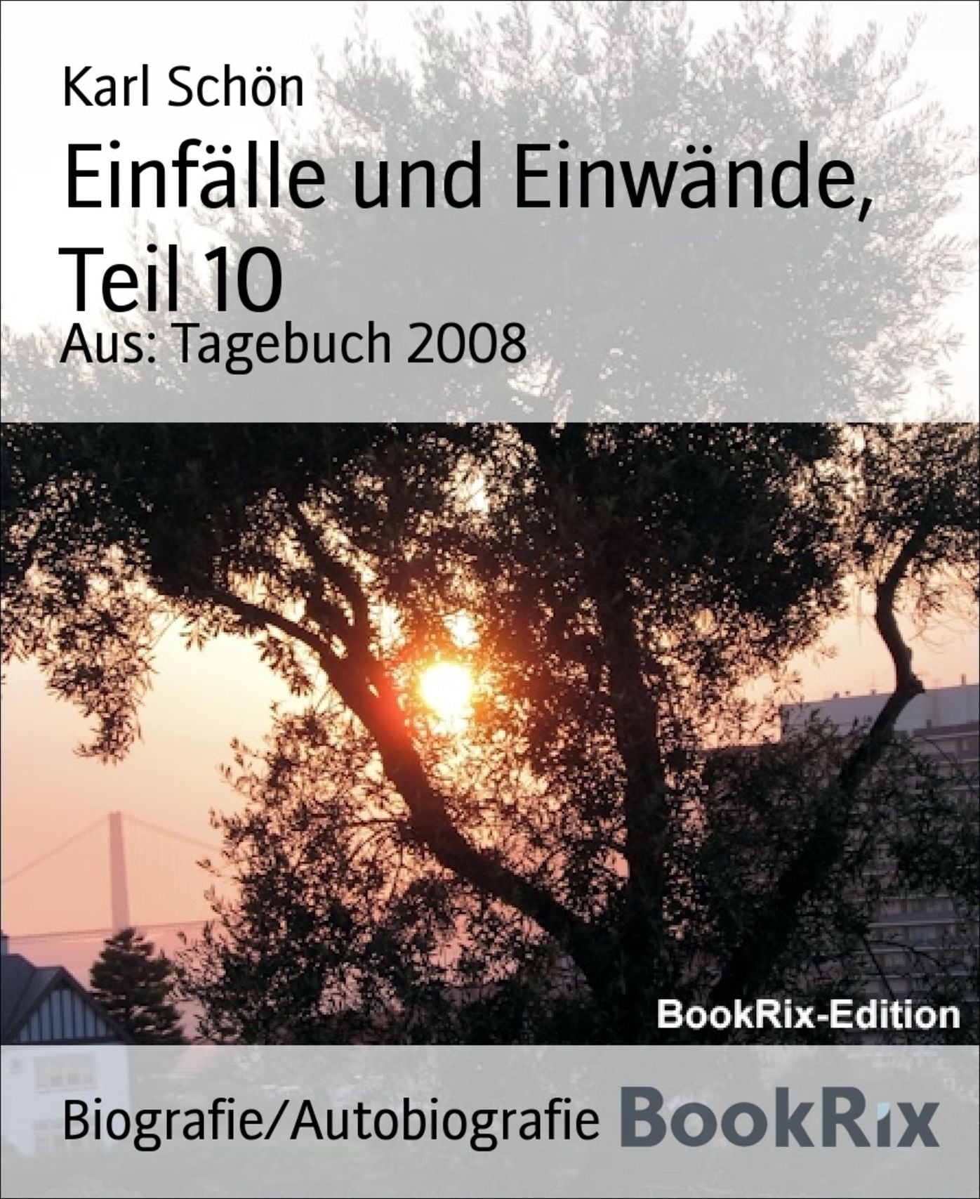 Einfälle und Einwände, Teil 10: Aus: Tagebuch 2008
