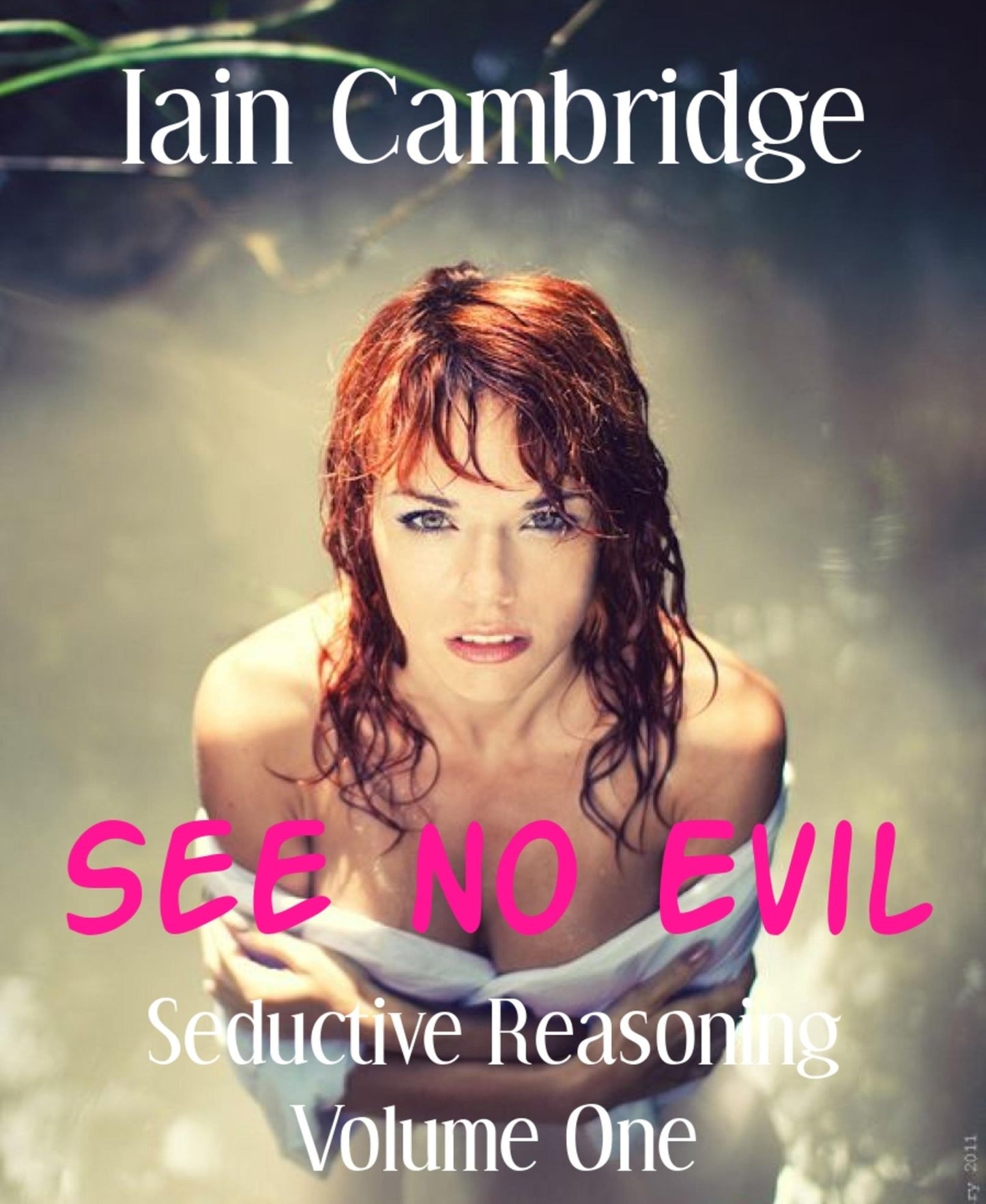 Seductive Reasoning: A Novella