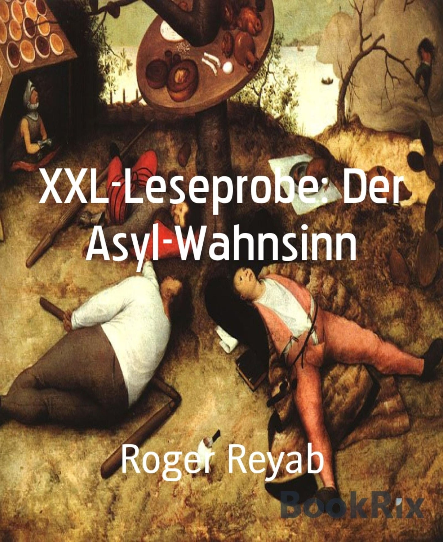 XXL-Leseprobe: Der Asyl-Wahnsinn