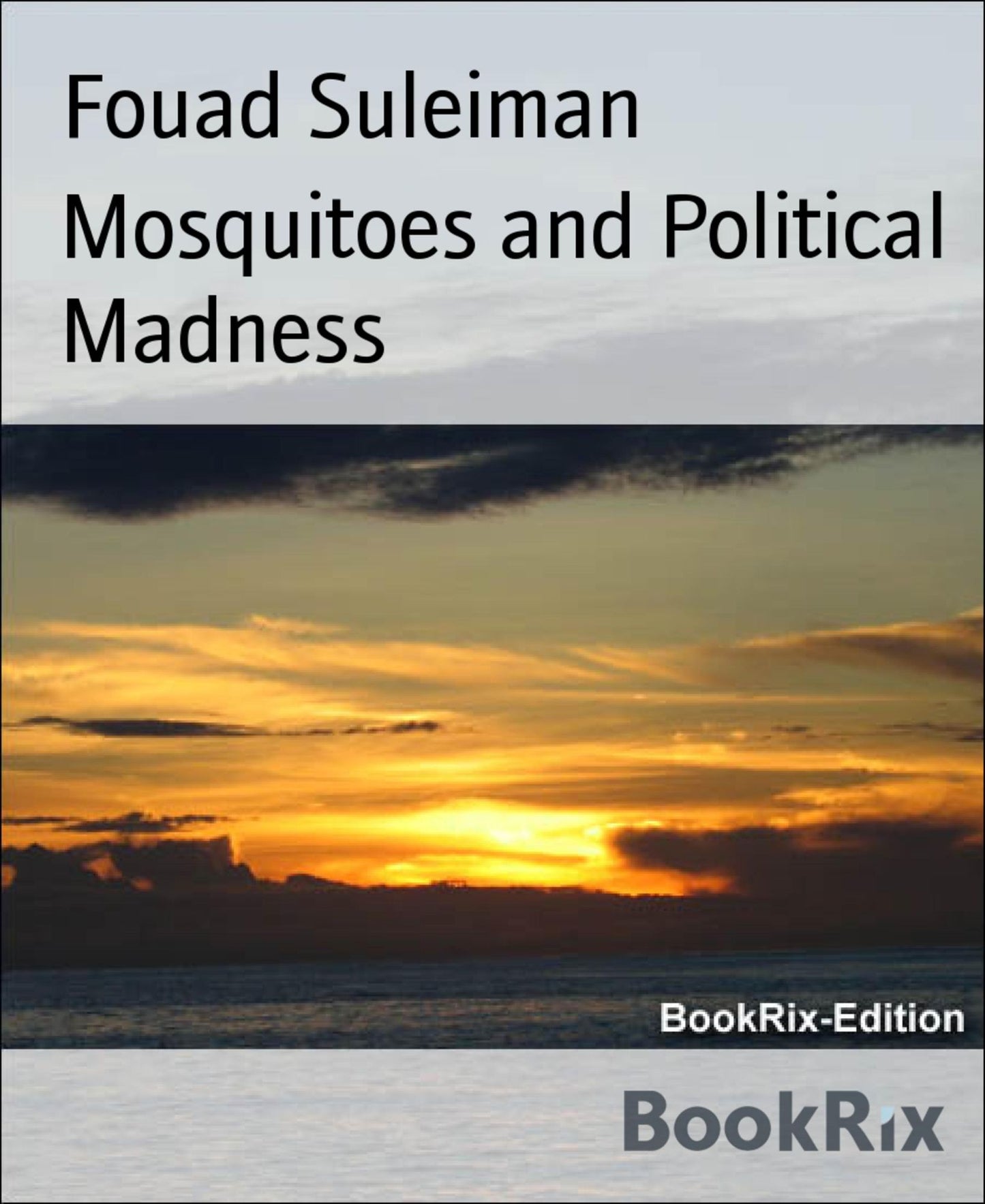 Mosquitoes and Political Madness: A society of mosquitoes interact with humans