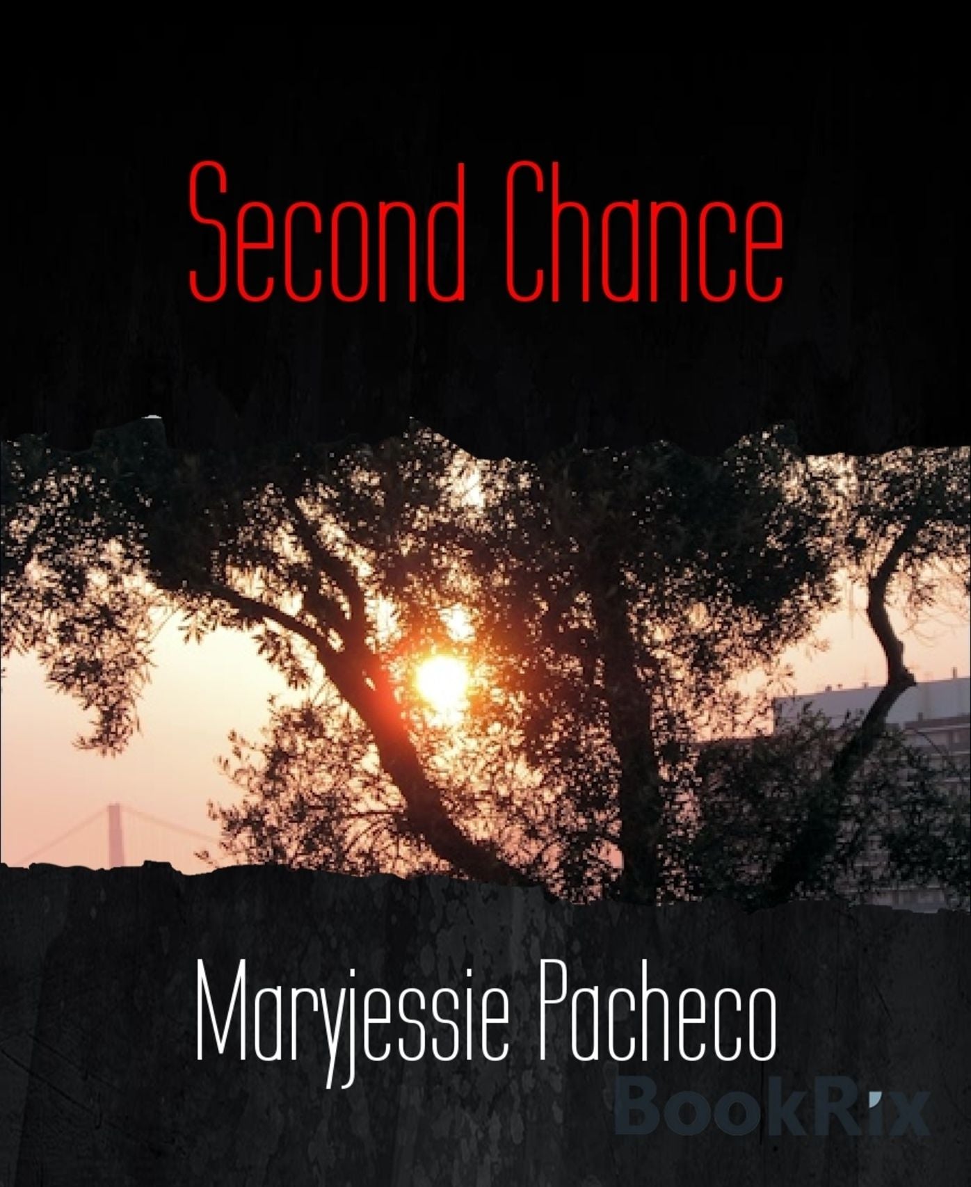 Second Chance: To Bullies Everywhere