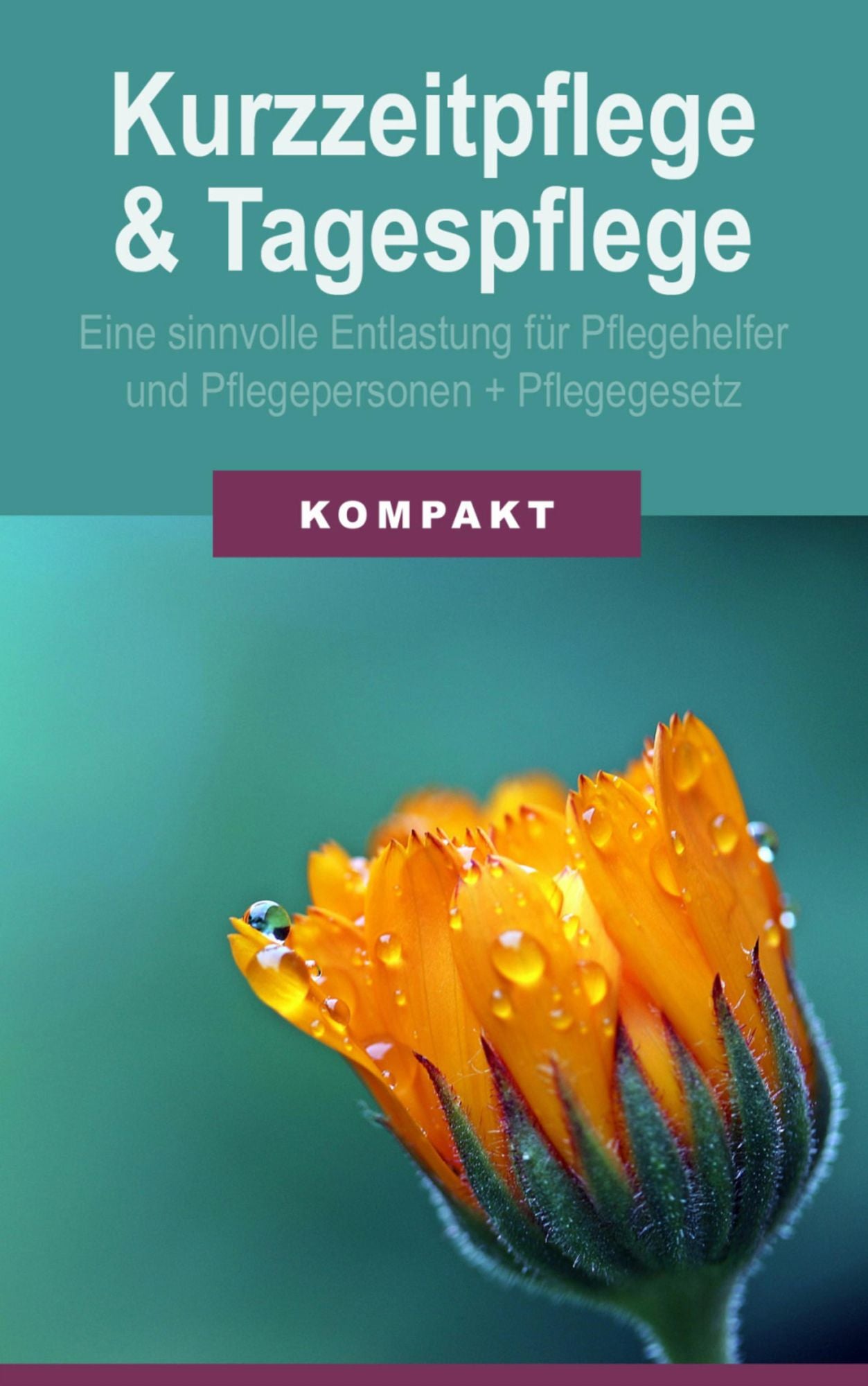 Kurzzeitpflege & Tagespflege - Eine sinnvolle Entlastung für Pflegehelfer & Pflegepersonen + Pflegegesetz 2017