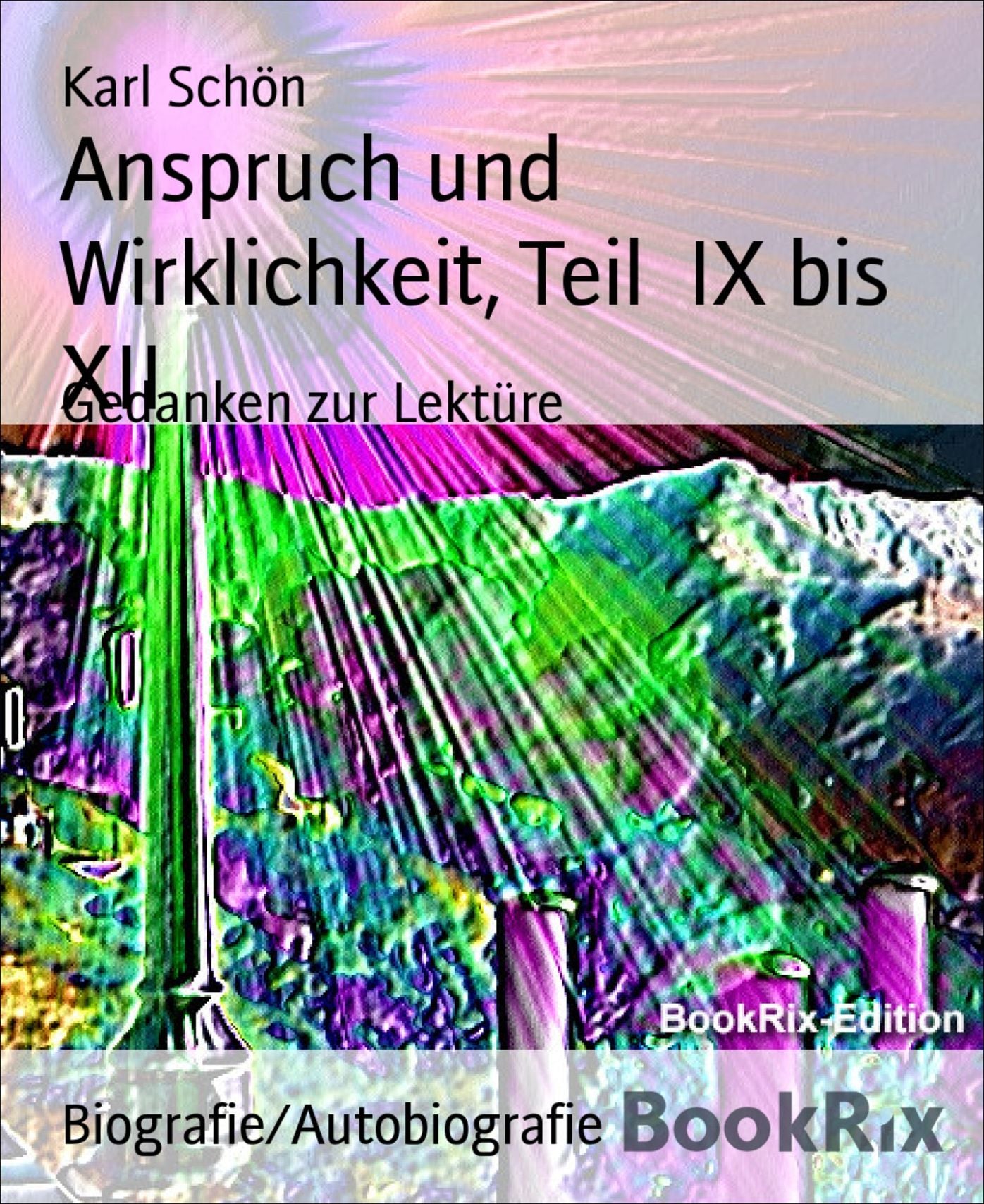 Anspruch und Wirklichkeit, Teil IX bis XII: Gedanken zur Lektüre