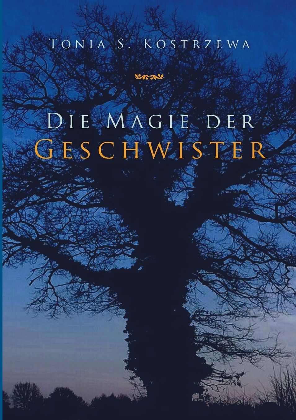 Die Magie Der Geschwister
