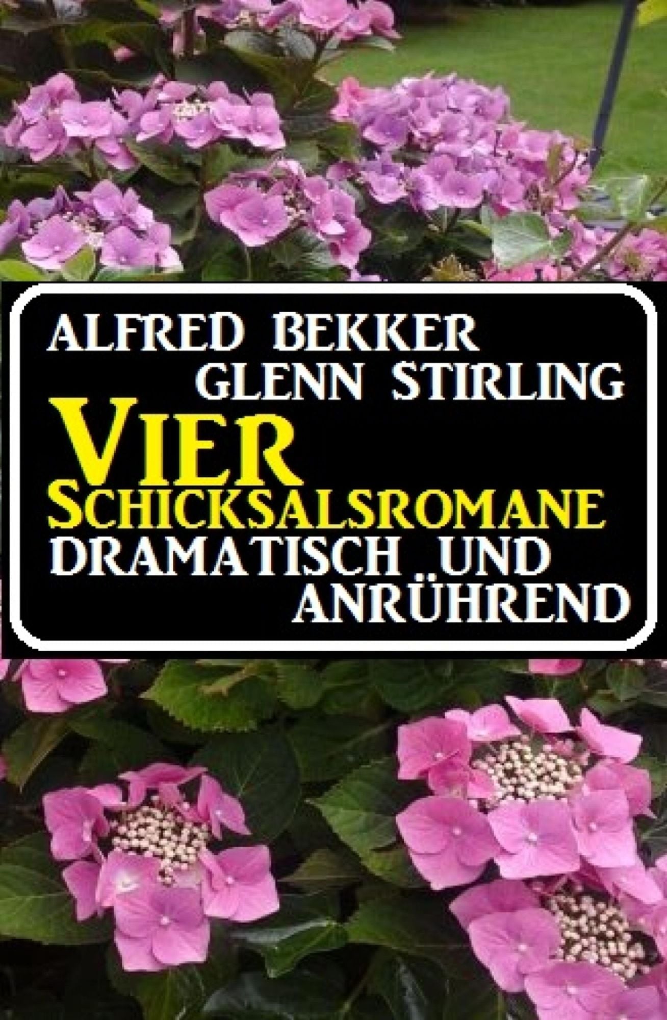 Vier Schicksalsromane - dramatisch und anrührend: Cassiopeiapress Sammelband
