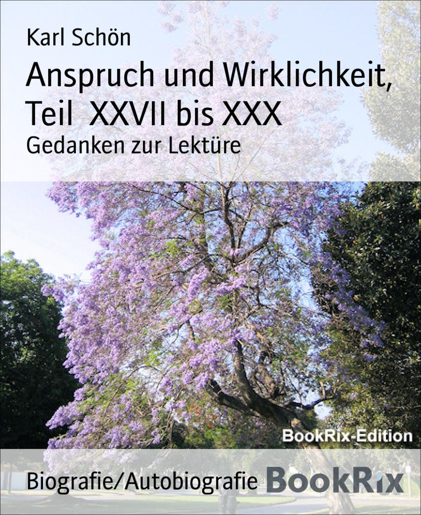 Anspruch und Wirklichkeit, Teil XXVII bis XXX: Gedanken zur Lektüre
