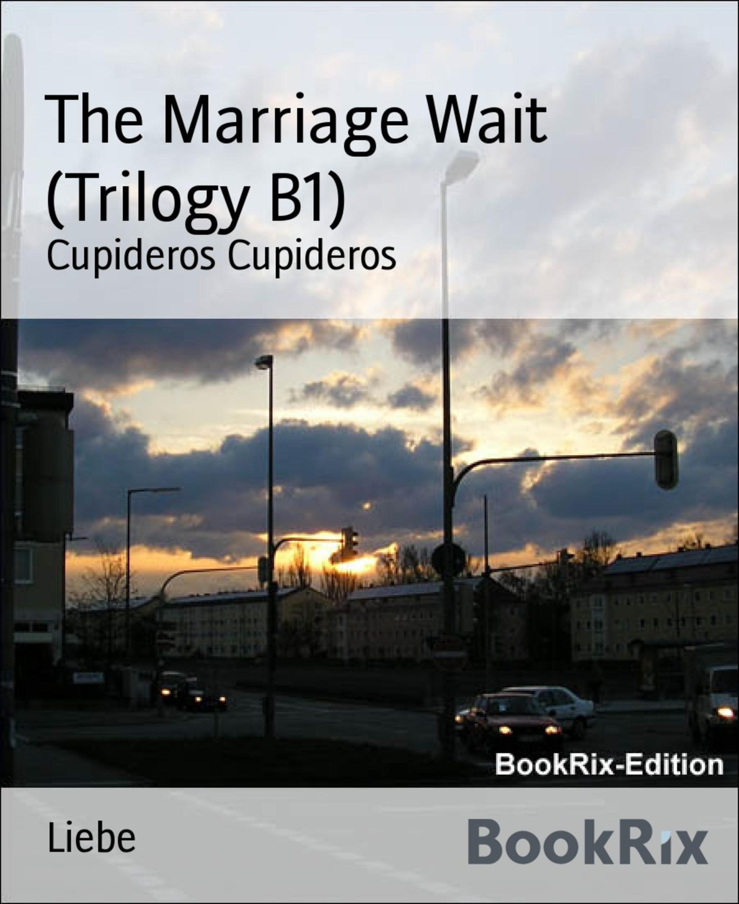The Marriage Wait (Trilogy B1): An African American Romance Story