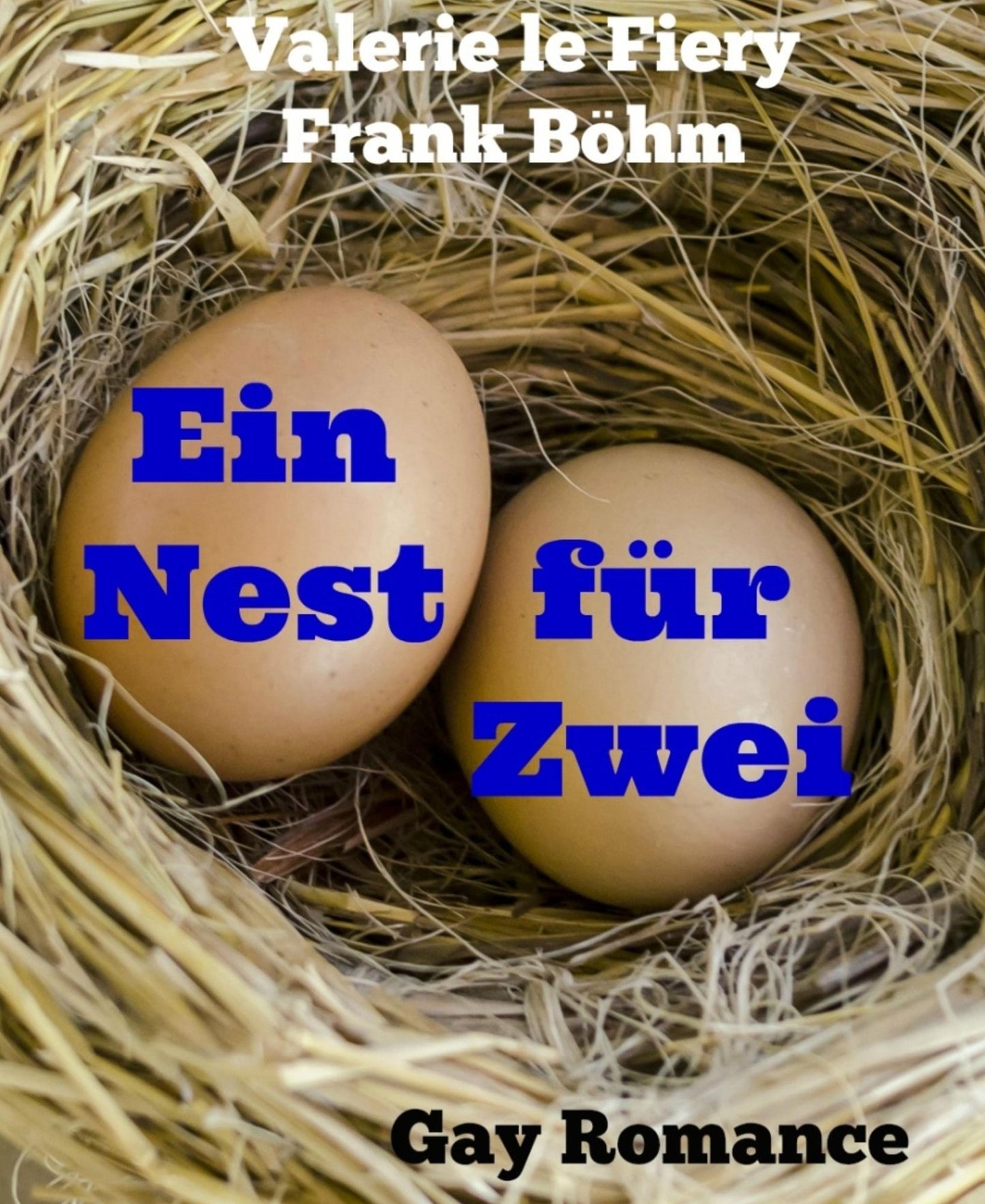 Ein Nest für Zwei: Gay Romance