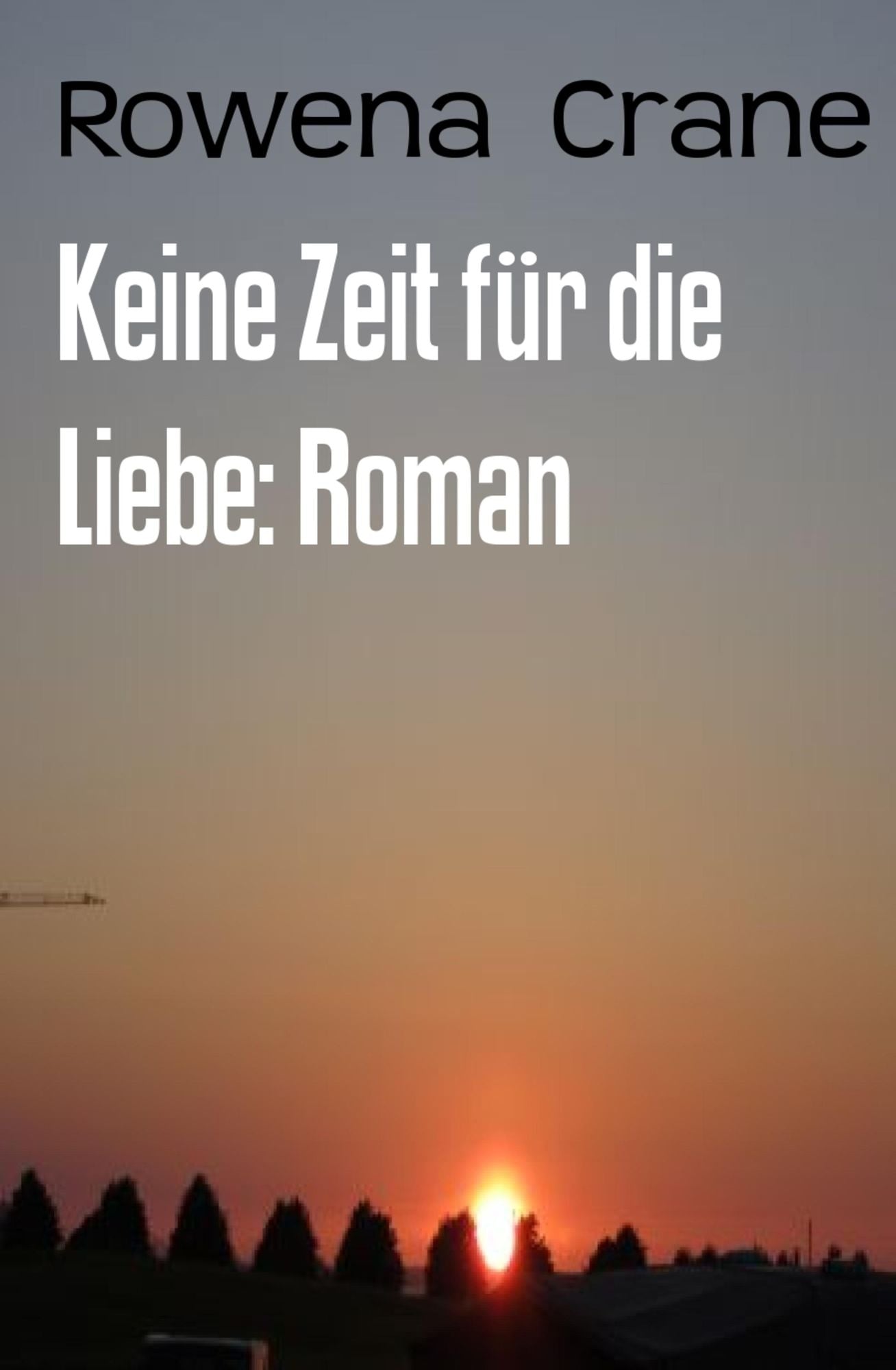 Keine Zeit für die Liebe: Roman