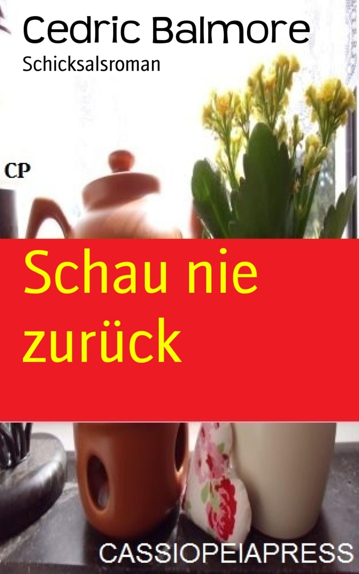 Schau nie zurück: Schicksalsroman