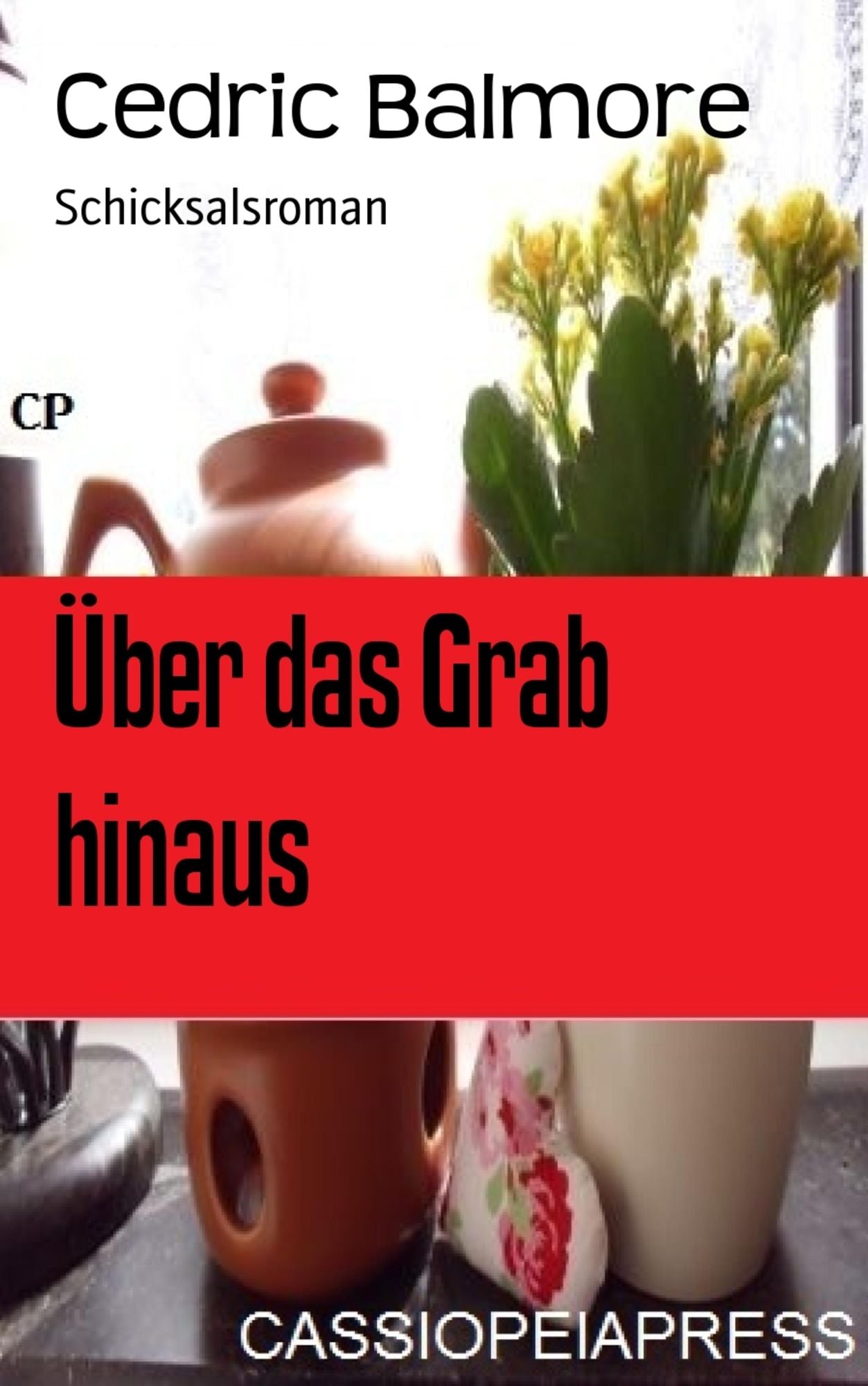 Über das Grab hinaus: Schicksalsroman