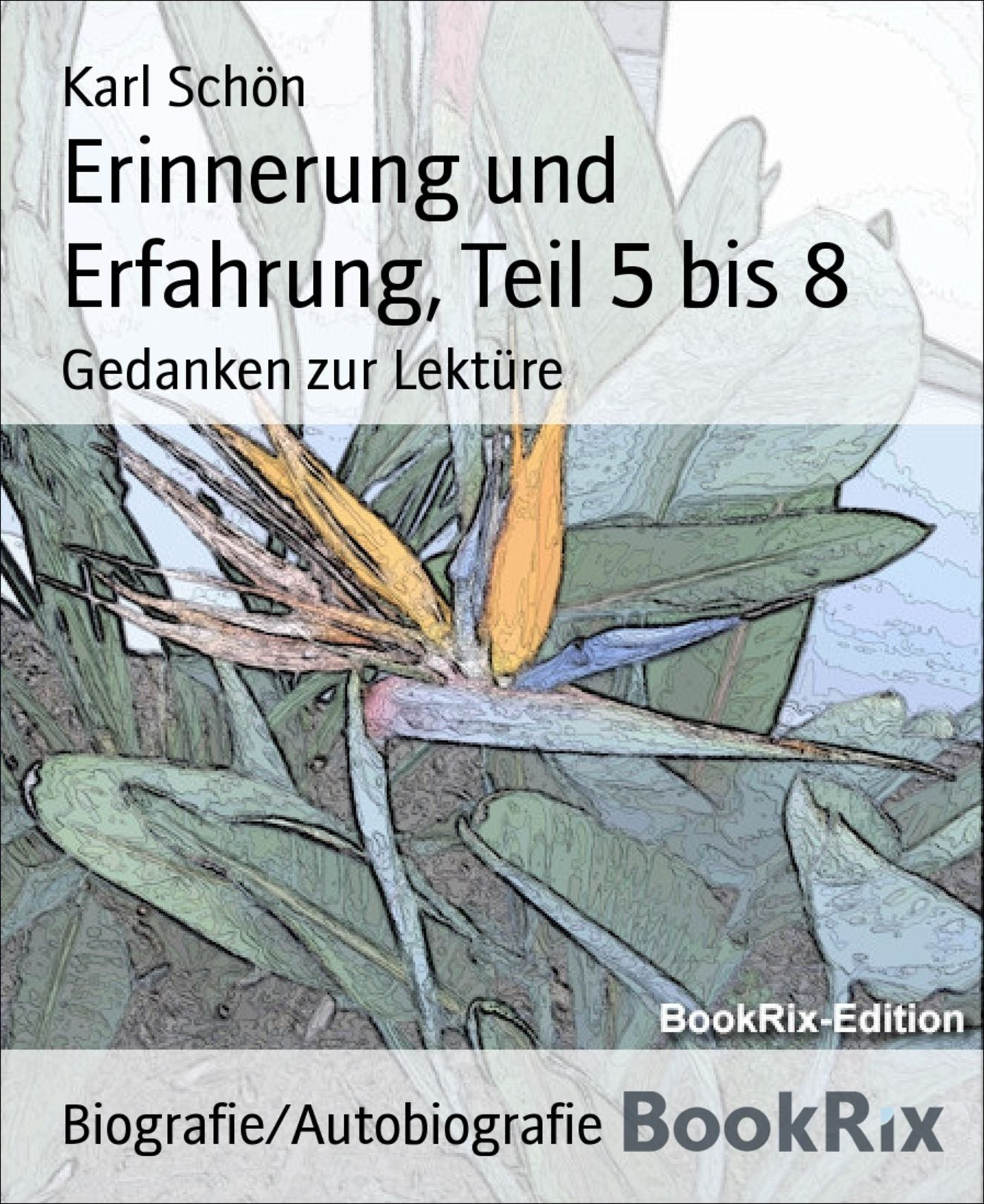 Erinnerung und Erfahrung, Teil 5 bis 8: Gedanken zur Lektüre