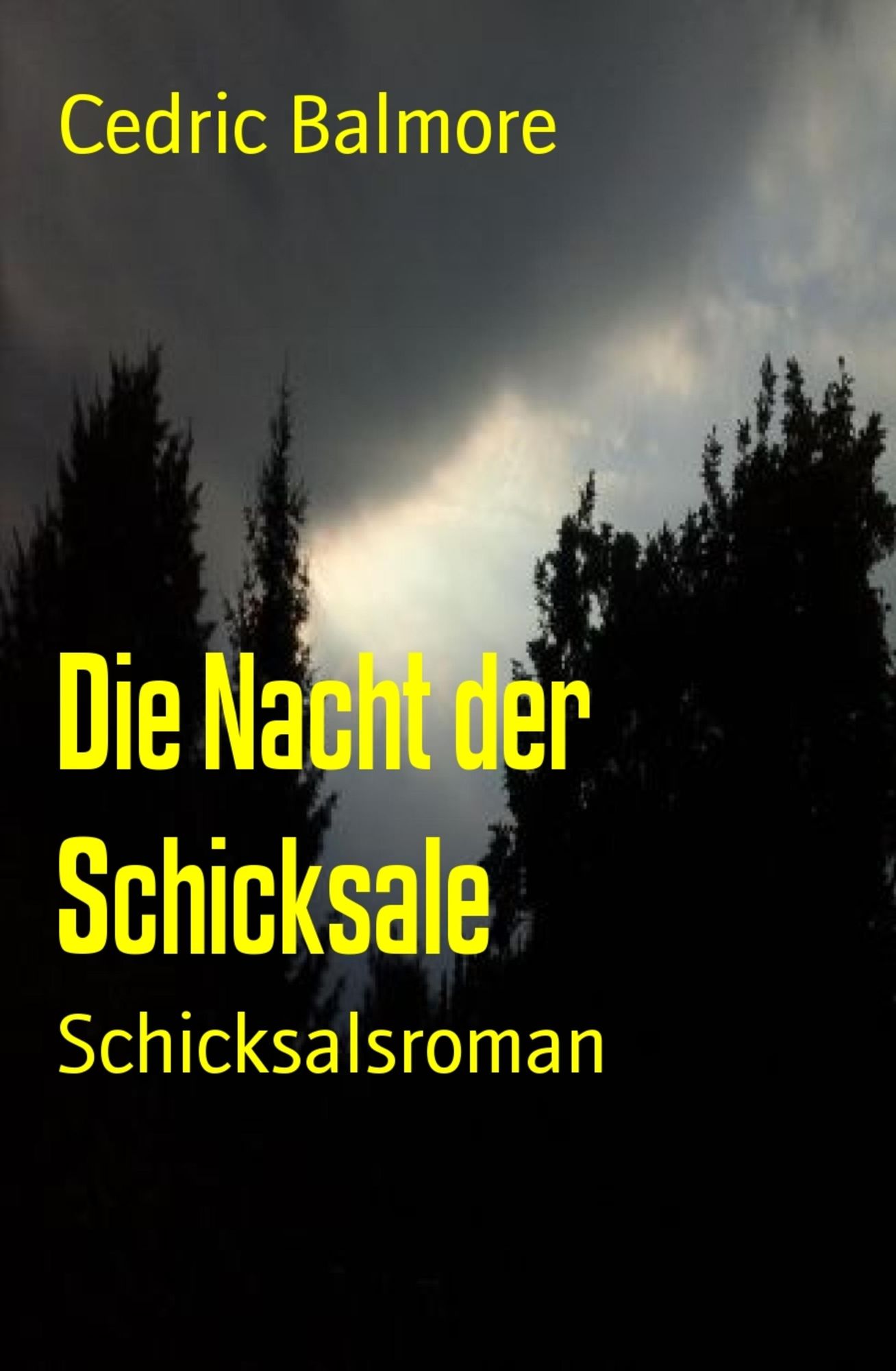 Die Nacht der Schicksale: Schicksalsroman
