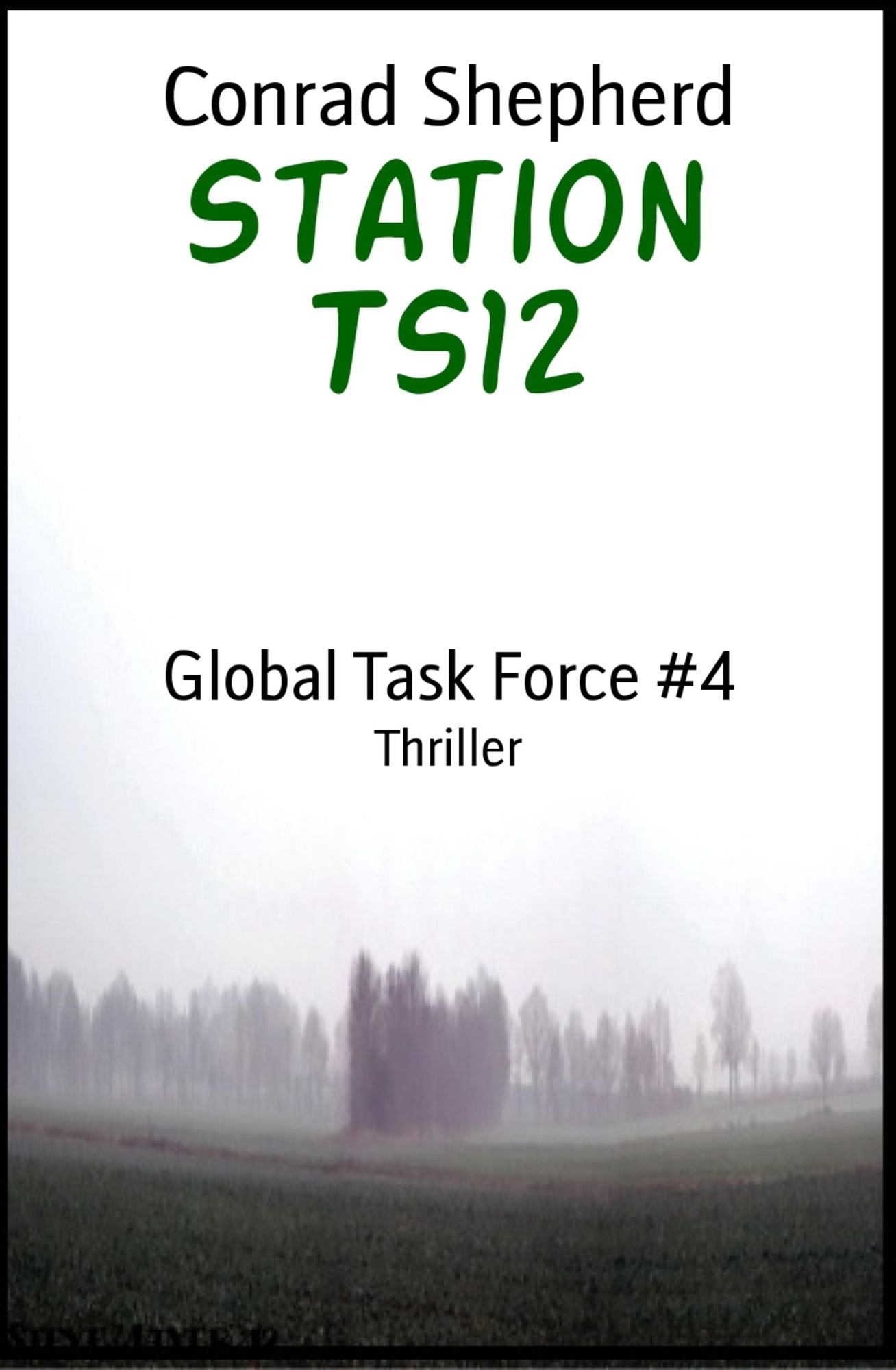 Station TS12: Global Task Force #4
